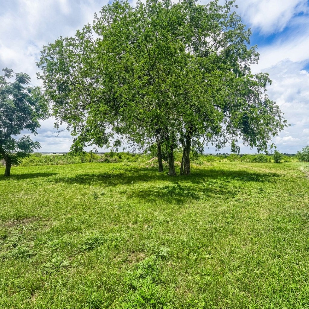 main property photo 11
