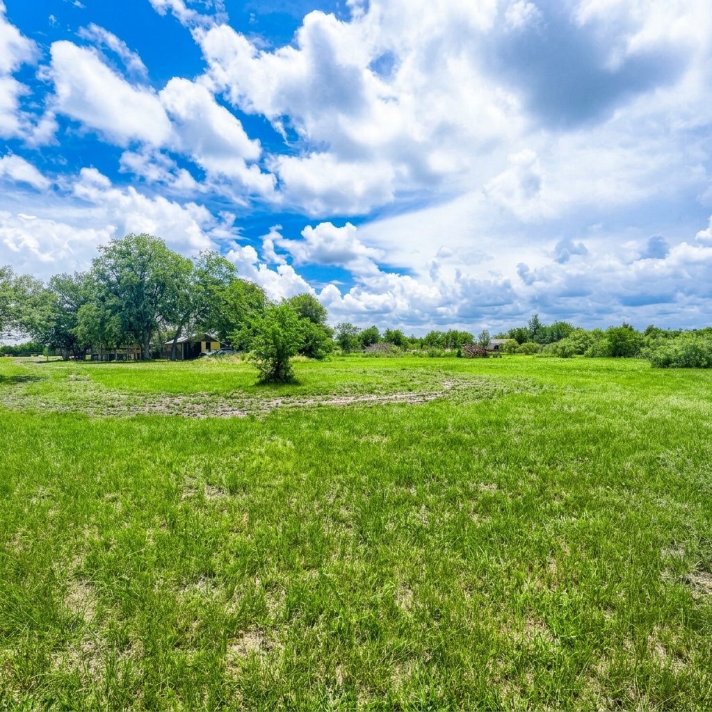 main property photo 12