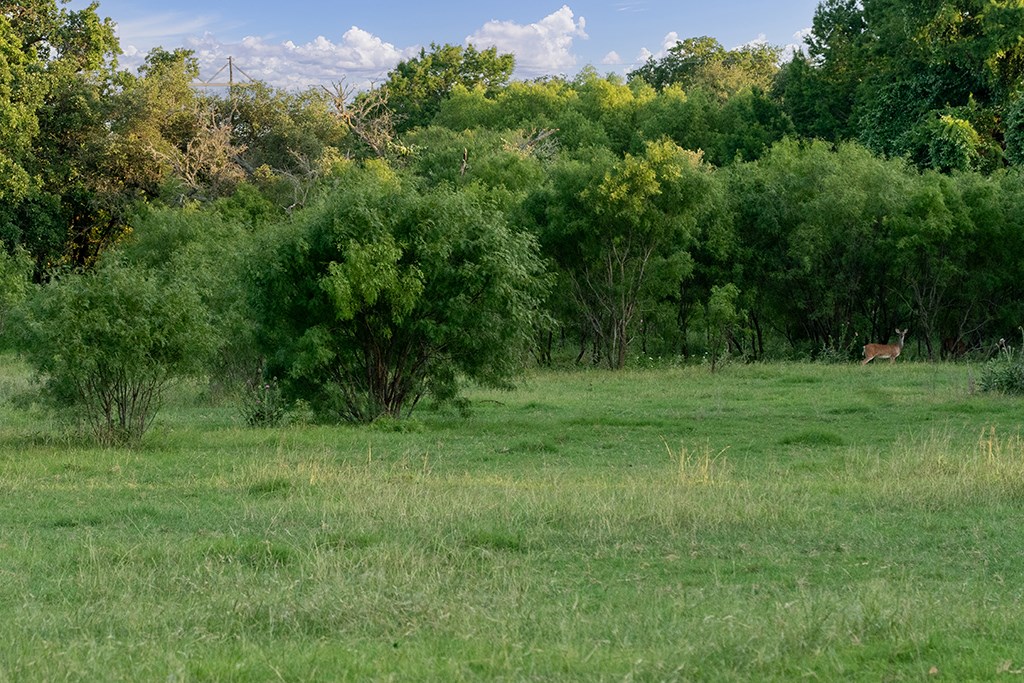 main property photo 11