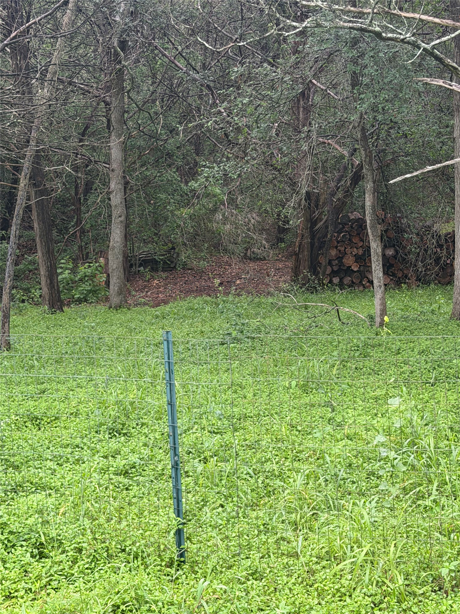 main property photo 16