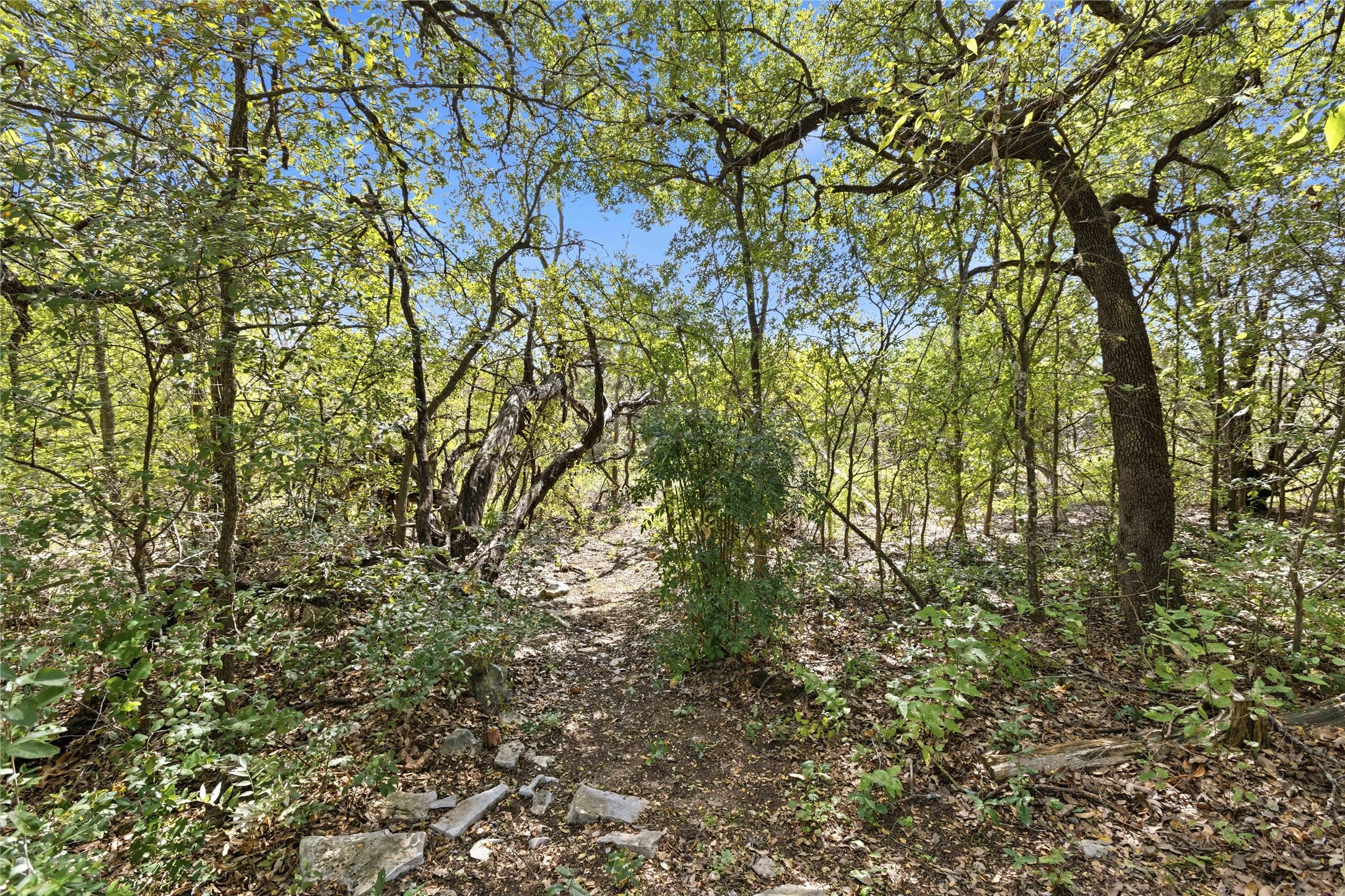 main property photo 33