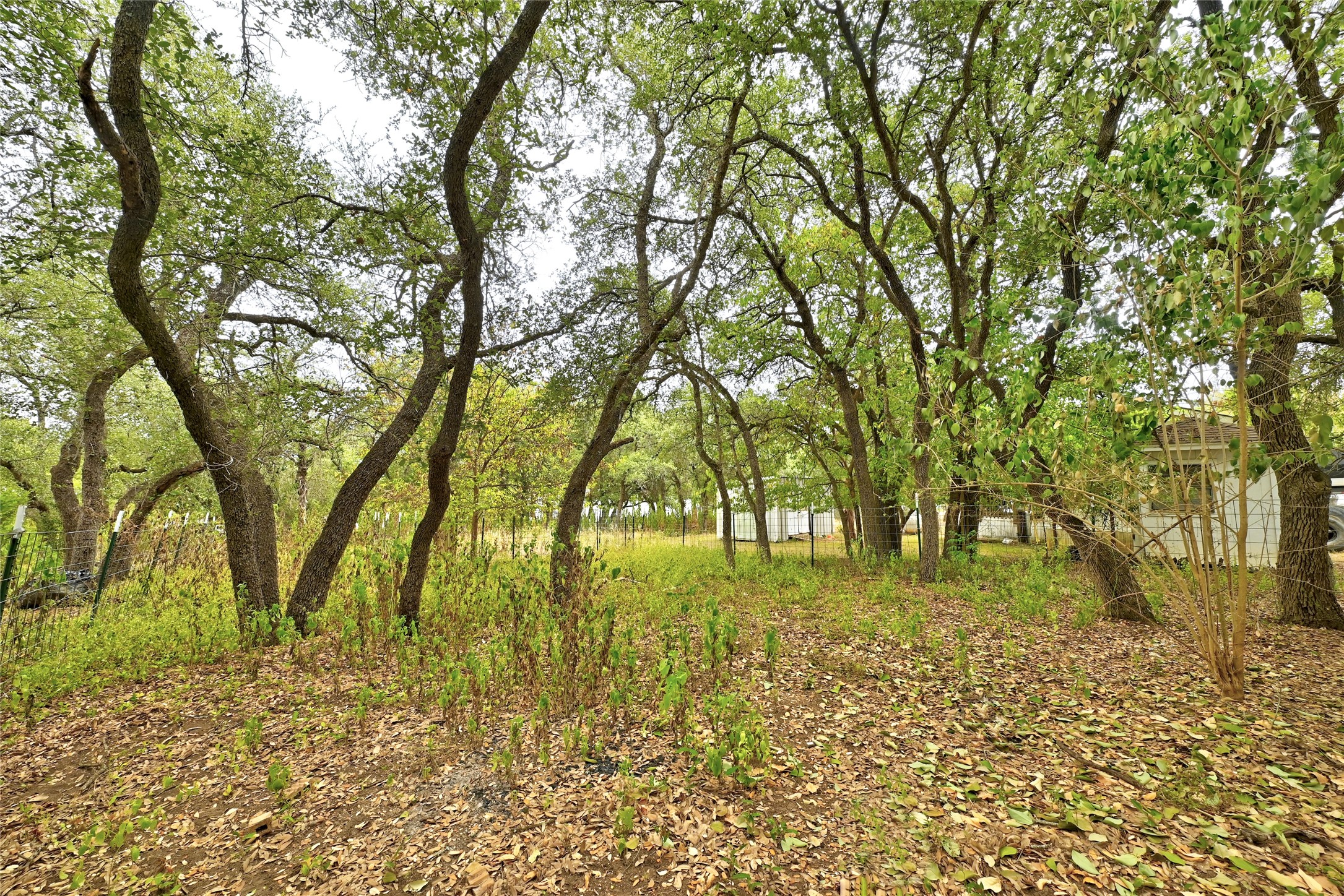 main property photo 18