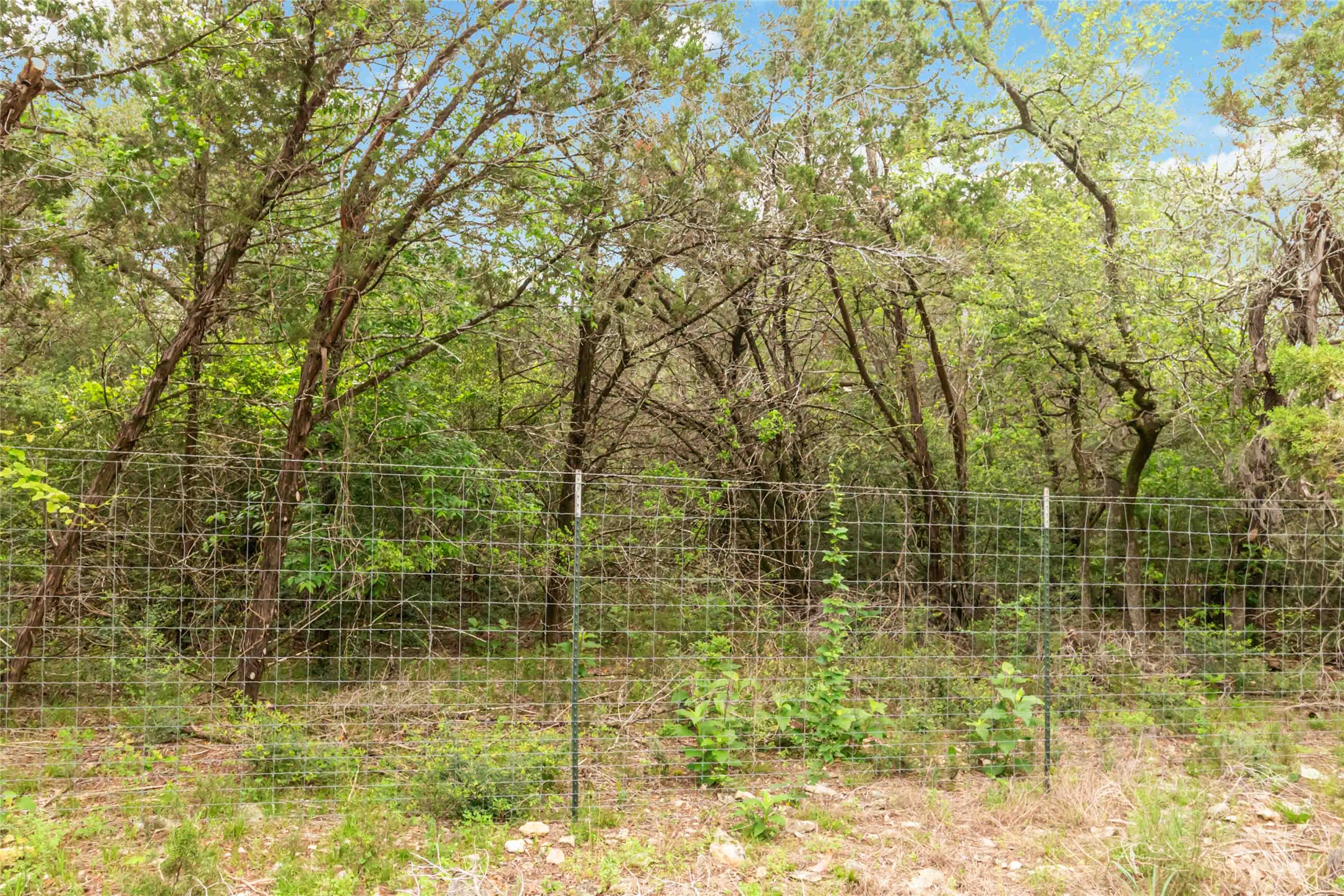 main property photo 15