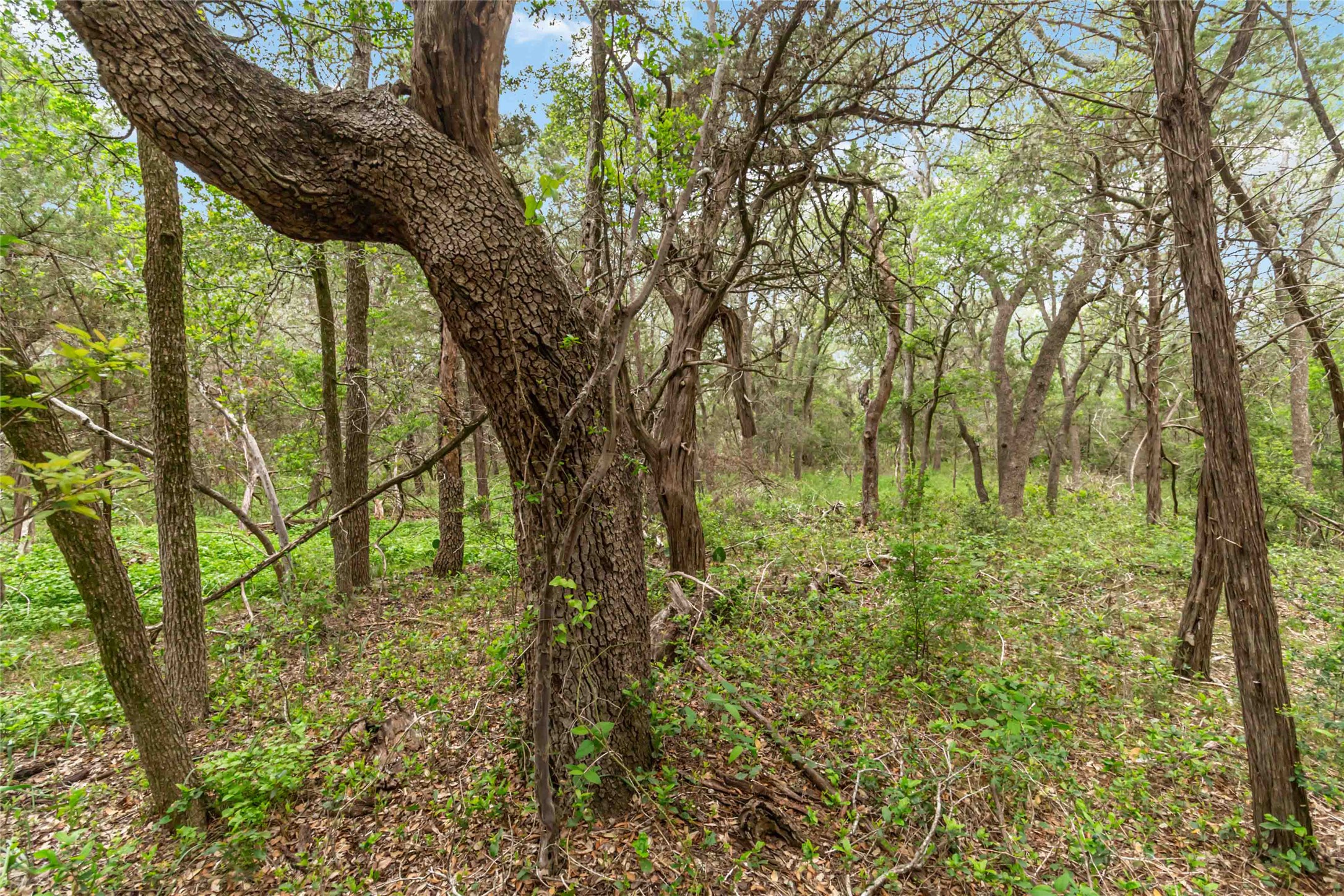 main property photo 17