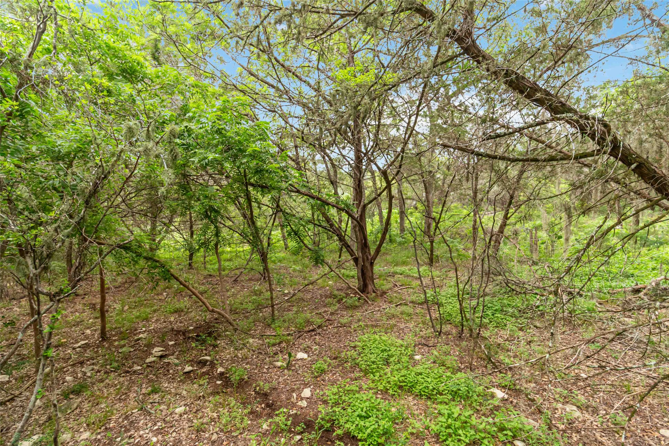 main property photo 20