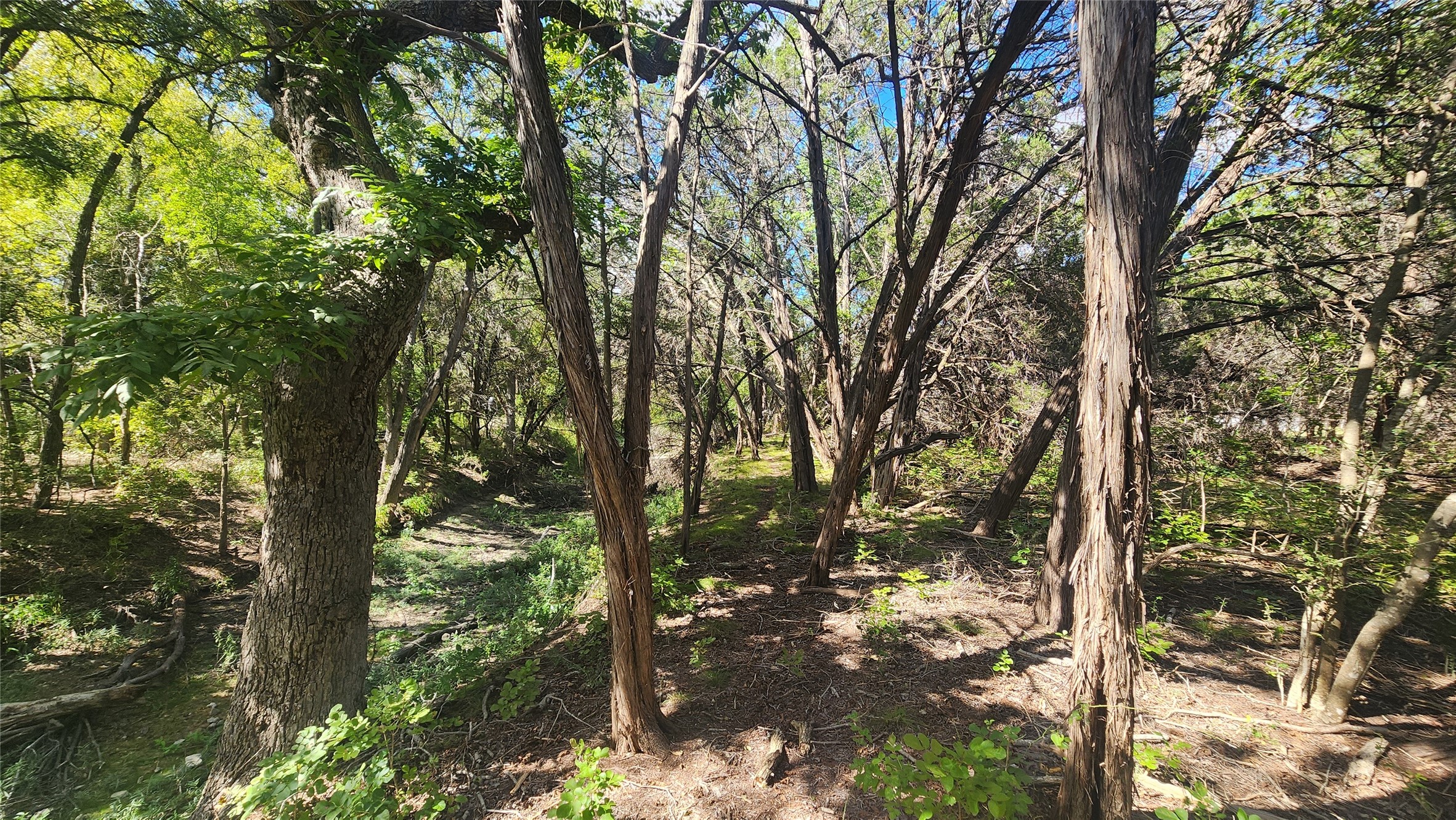 main property photo 20