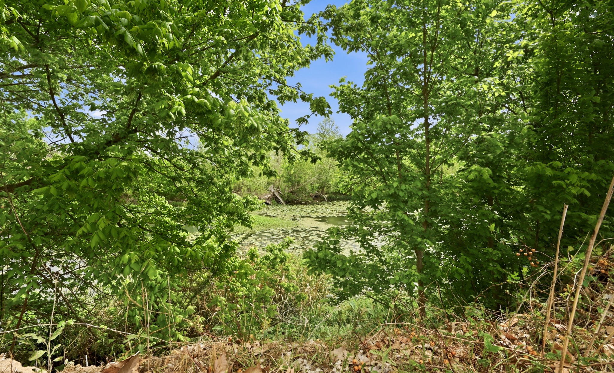 main property photo 38