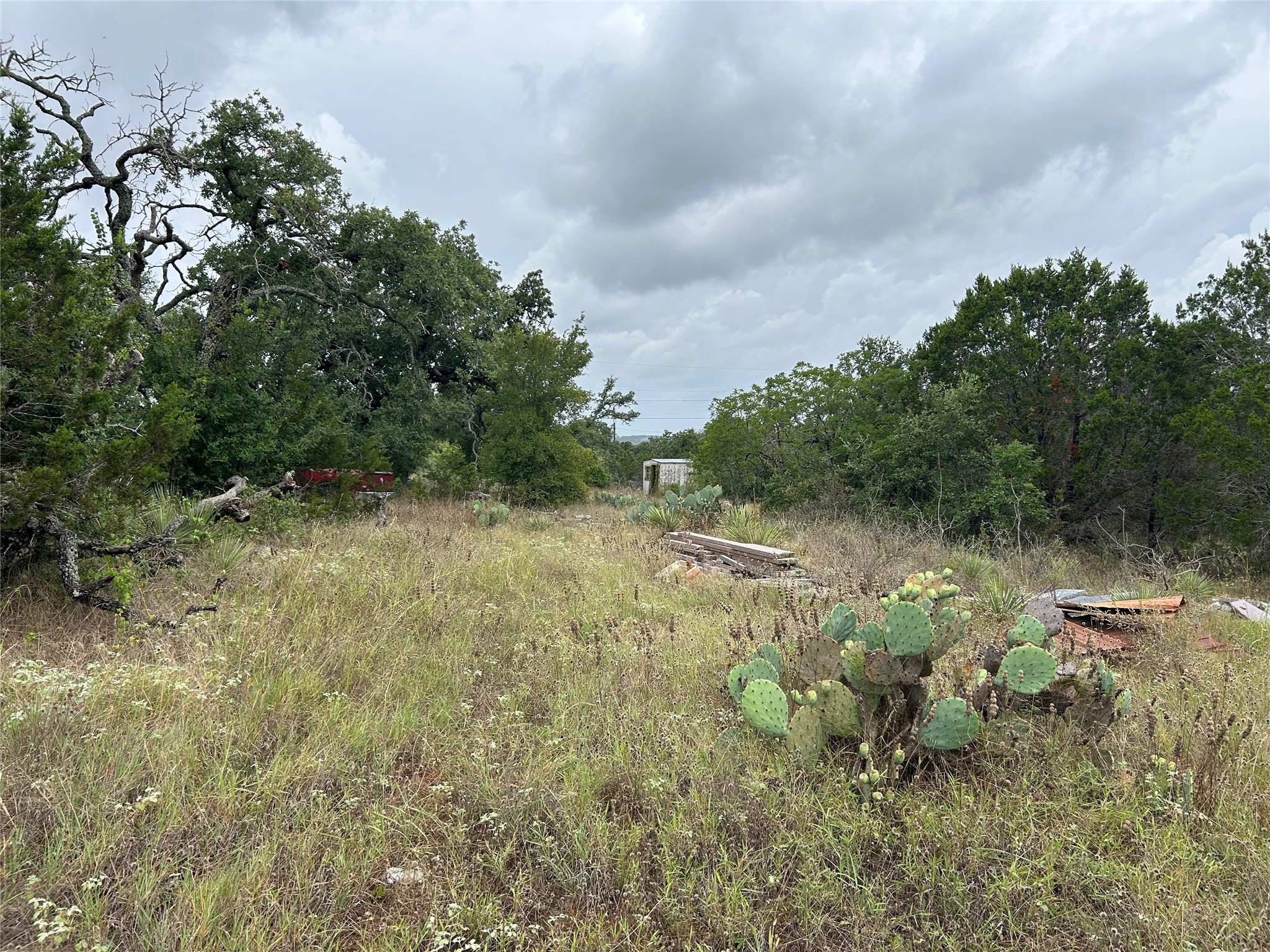 main property photo 6