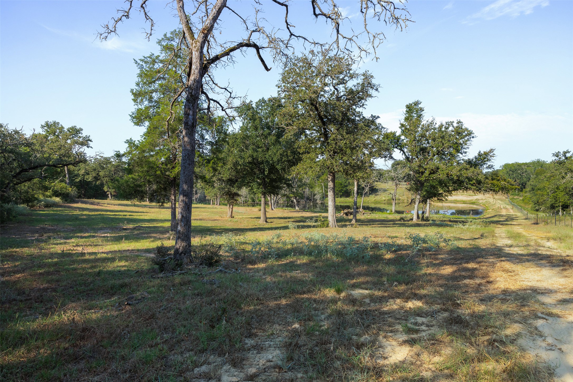 main property photo 10