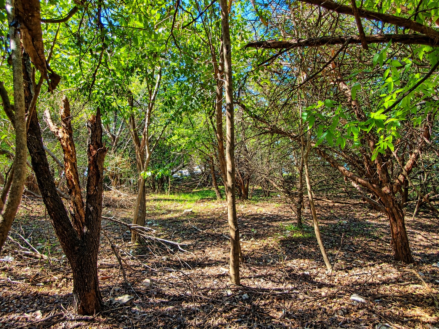 main property photo 10