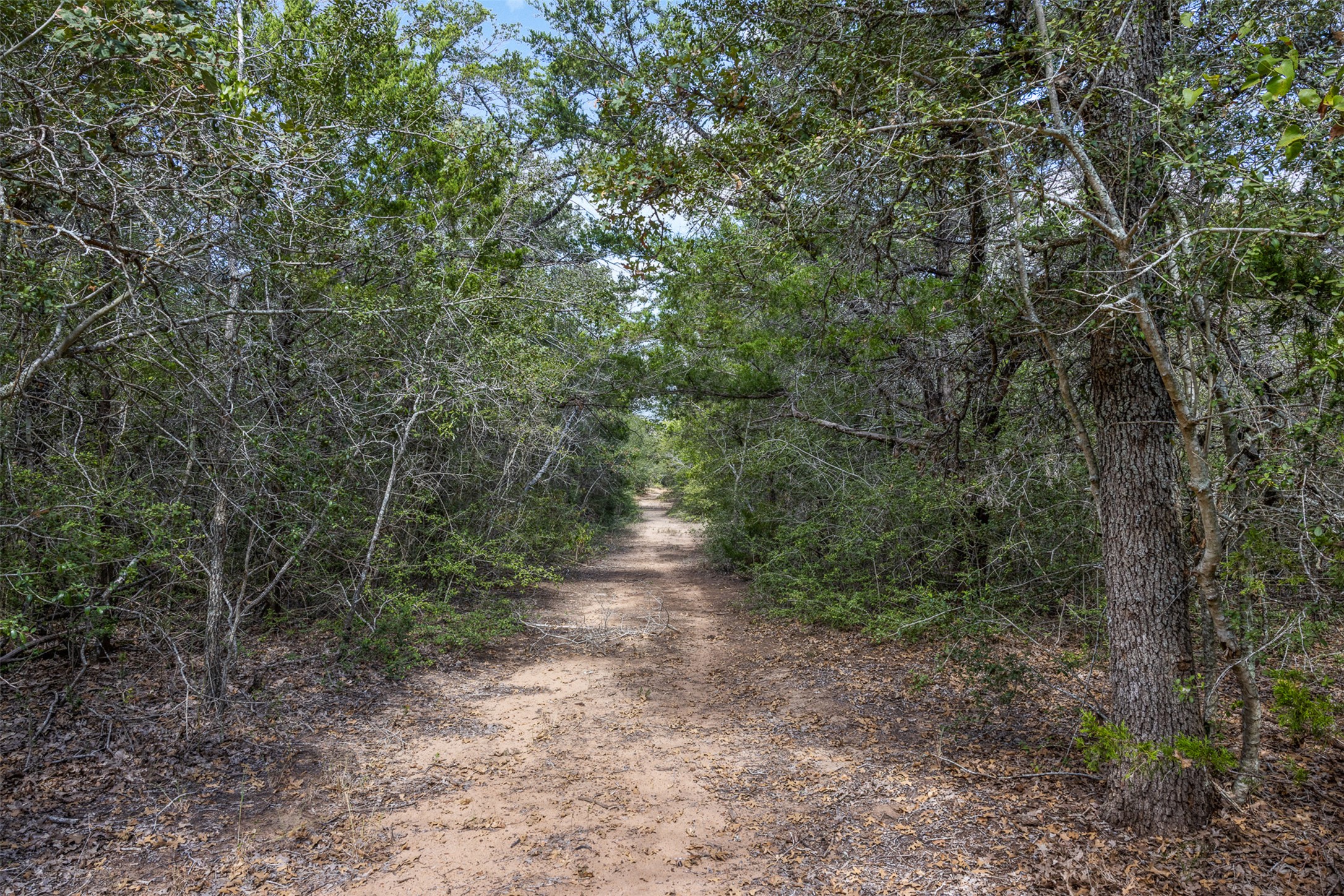 main property photo 30