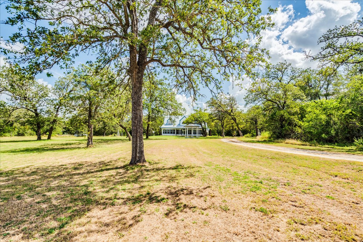 main property photo 37