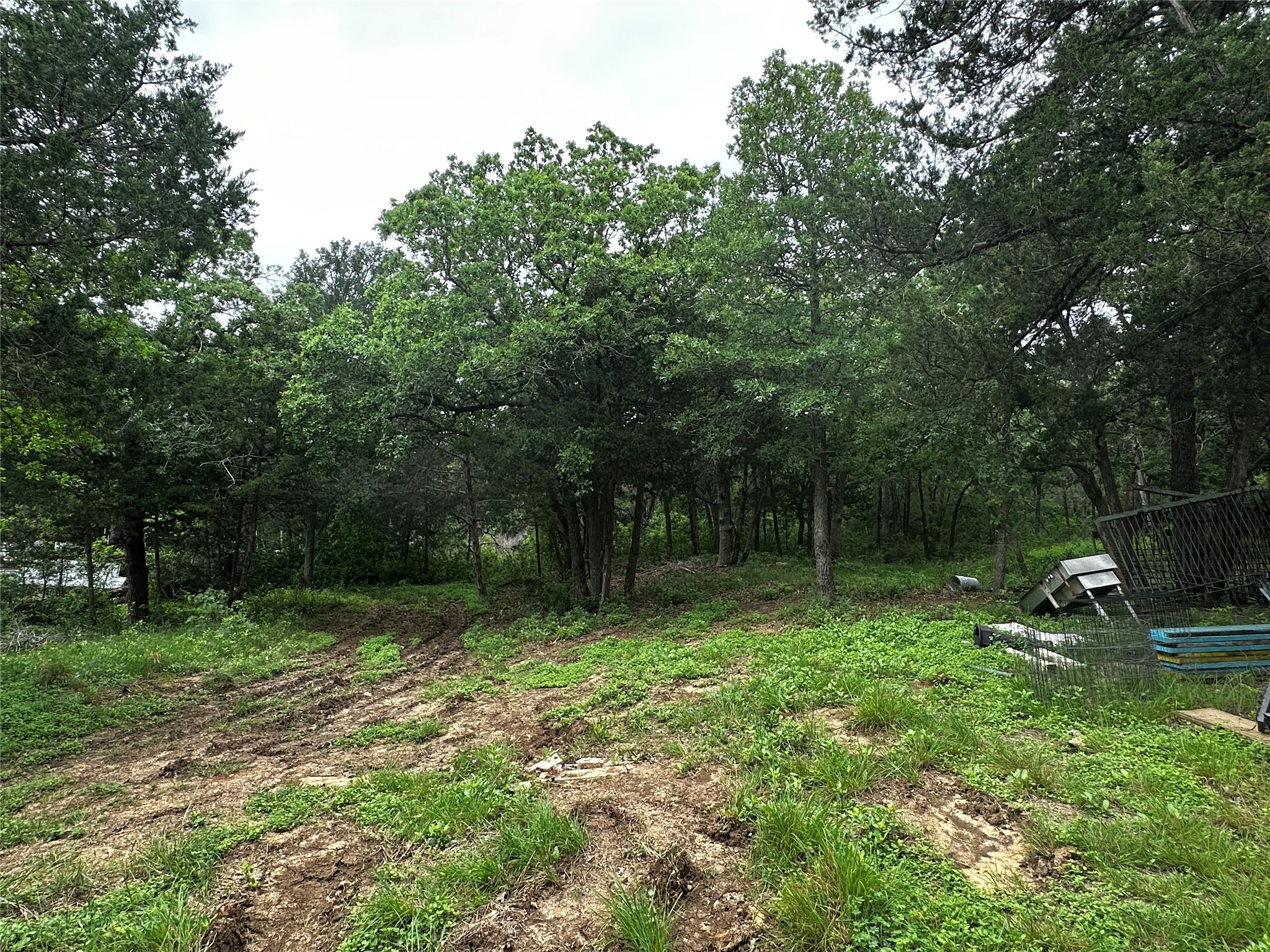 main property photo 13