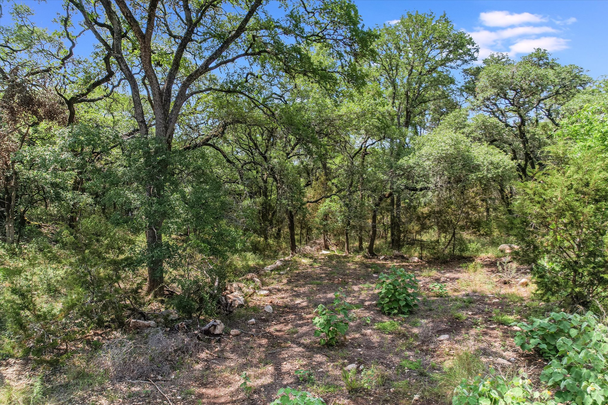 main property photo 30