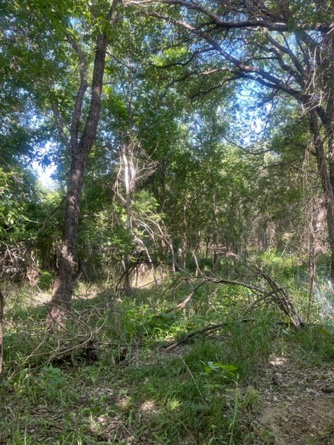 main property photo 8