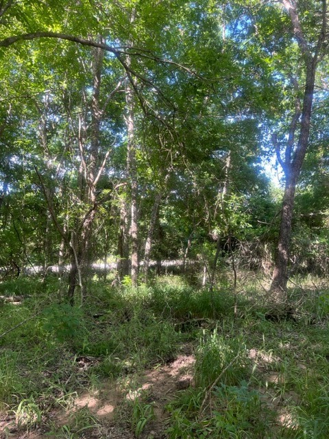 main property photo 9