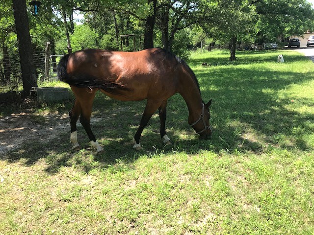 main property photo 7