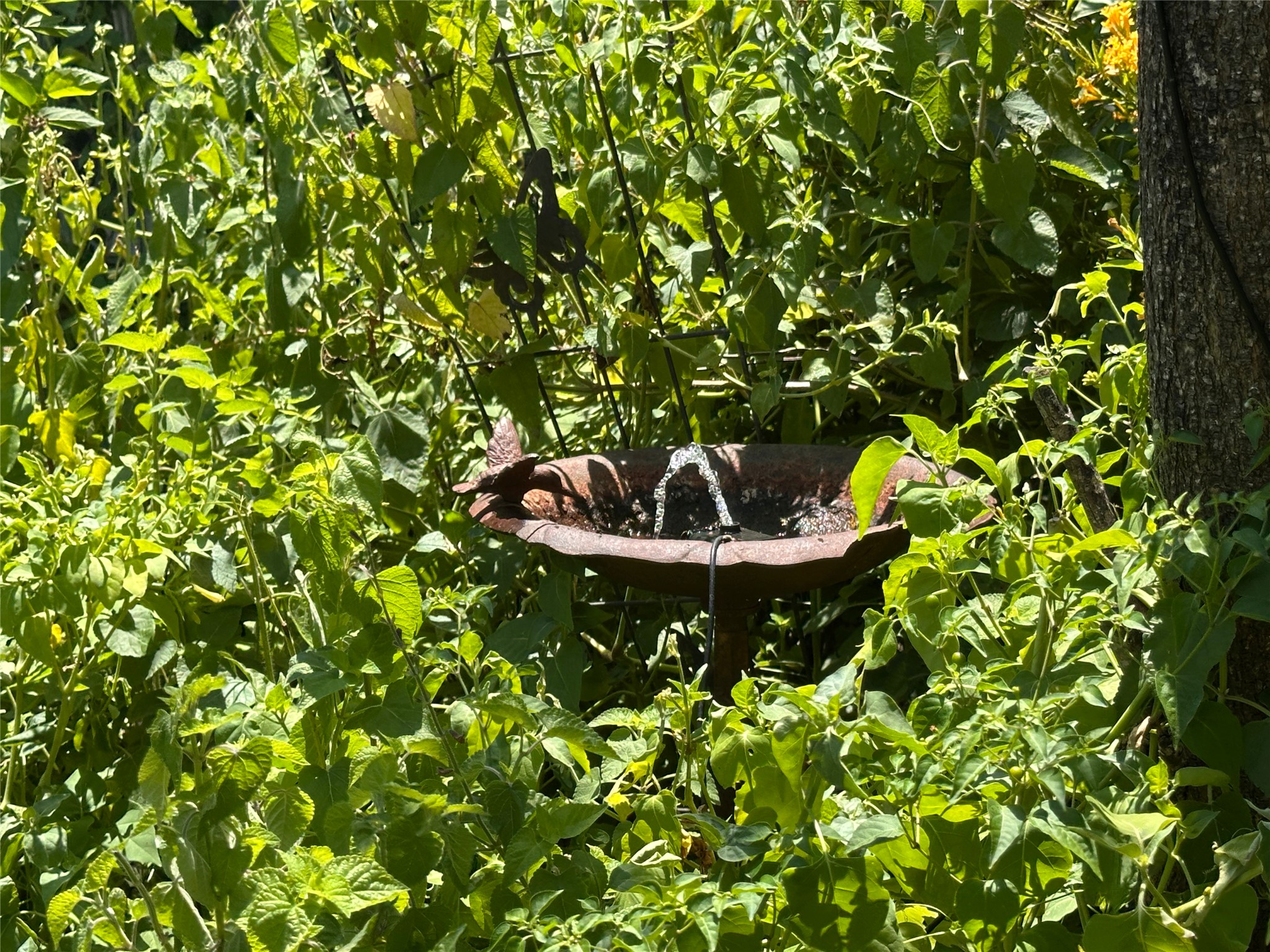 main property photo 33
