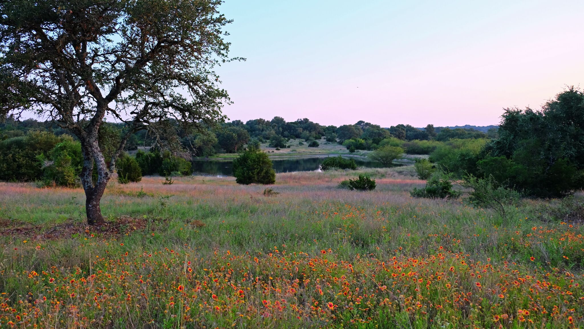 main property photo 24
