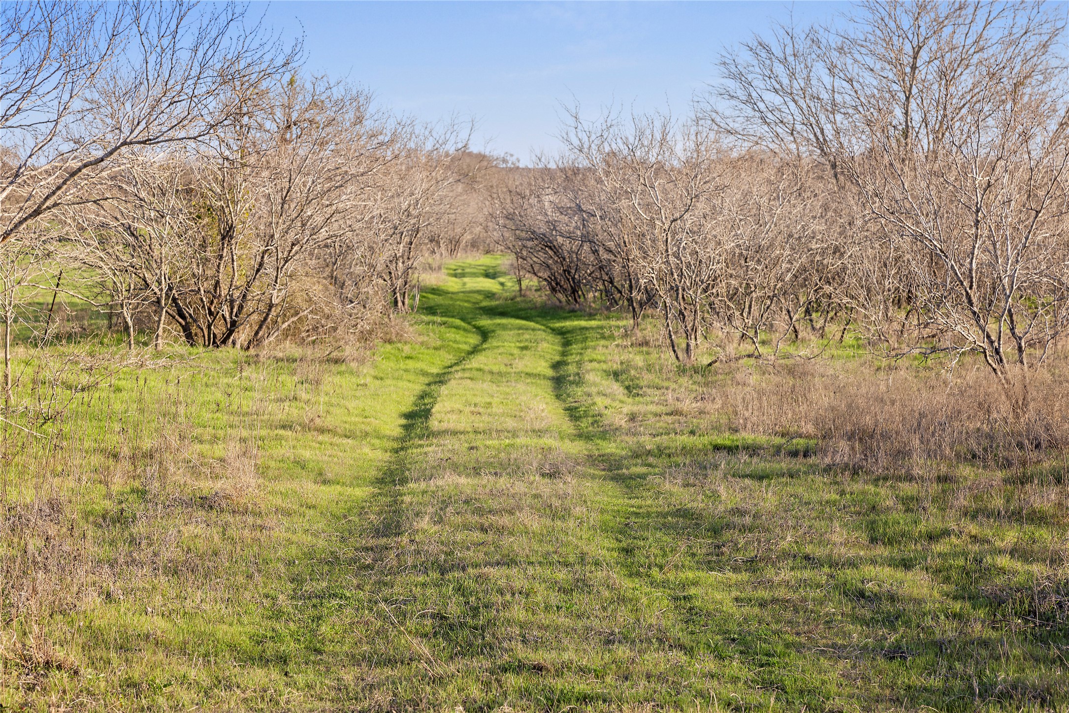 main property photo 12
