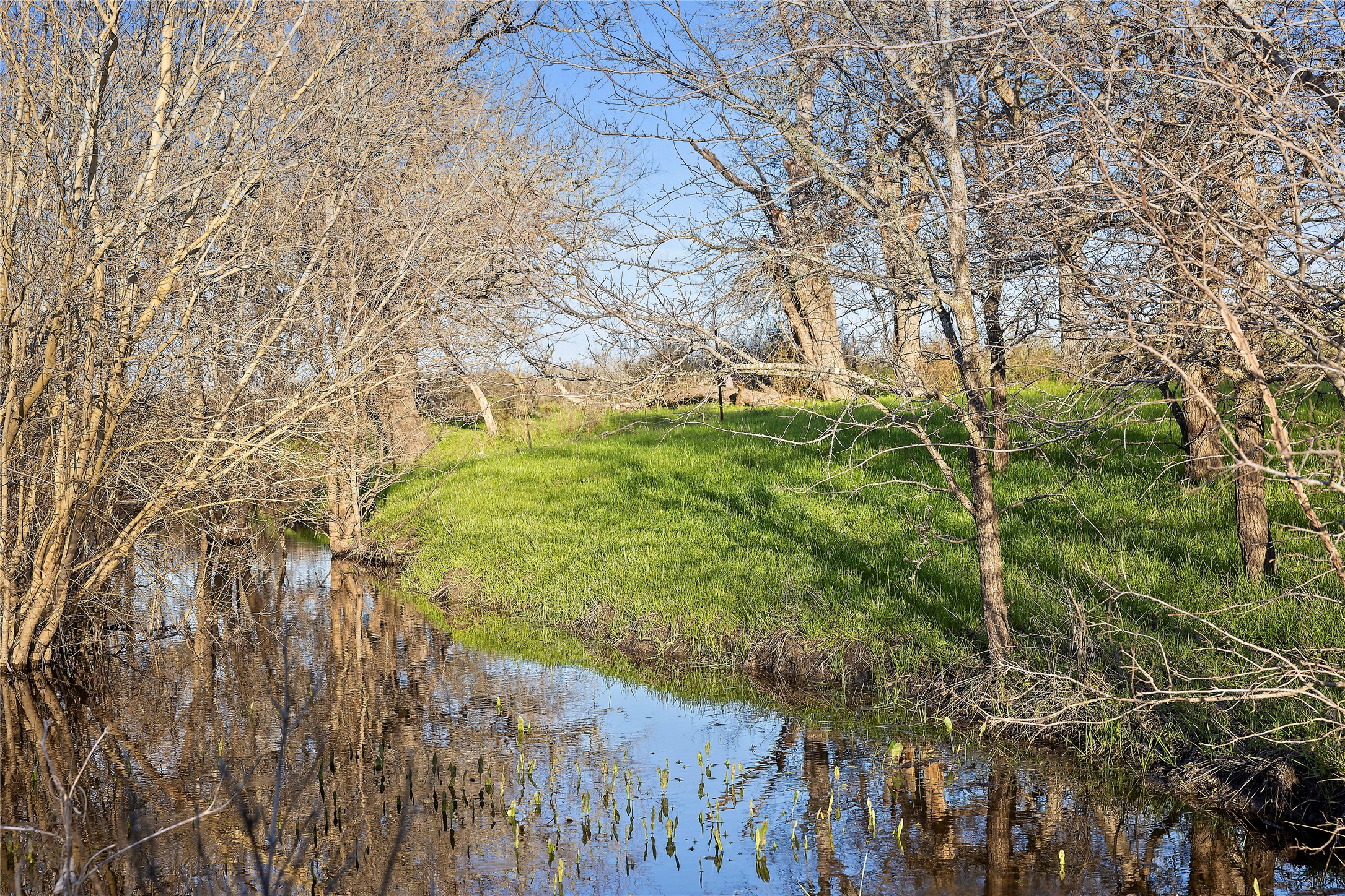 main property photo 15