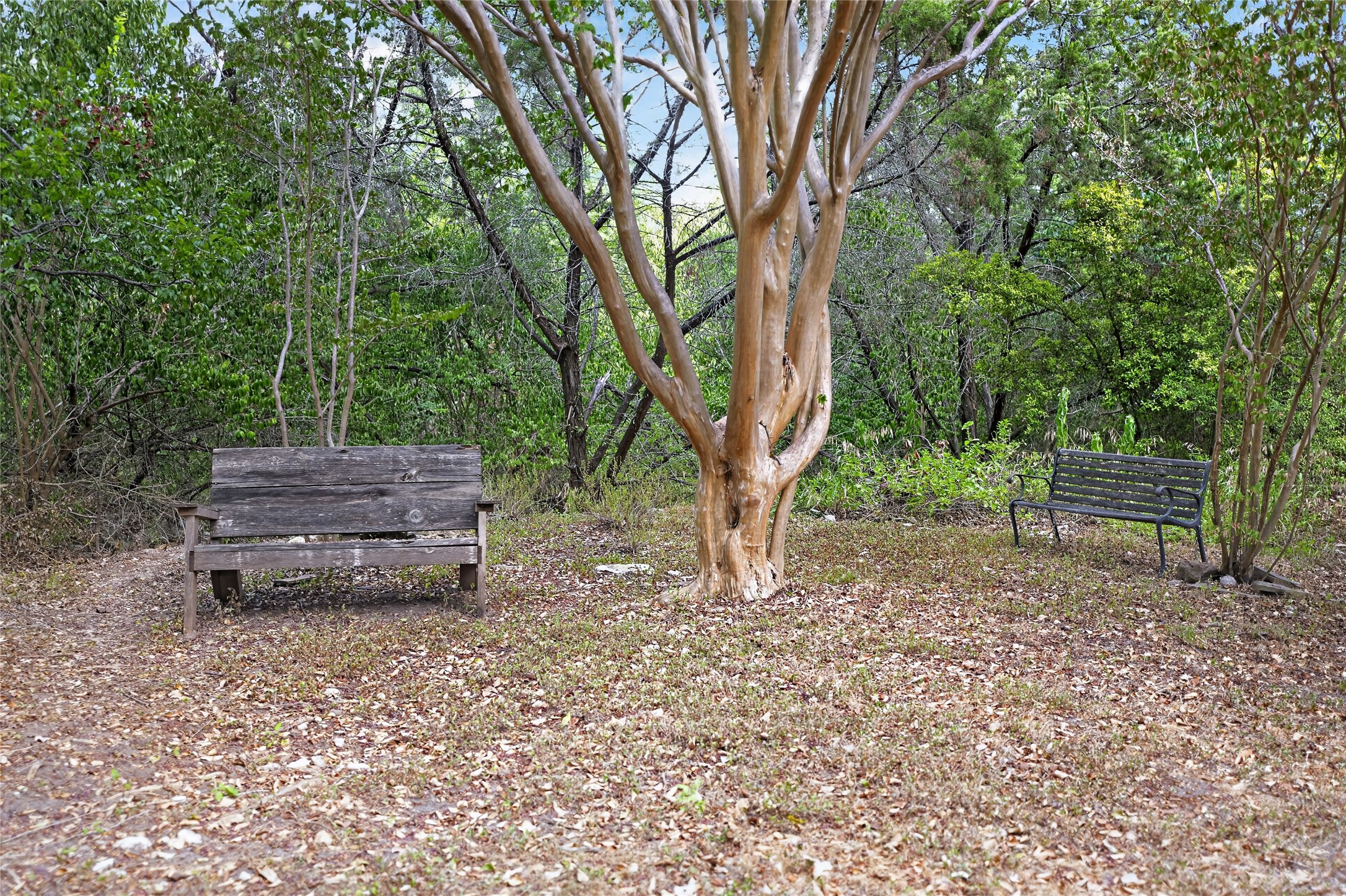 main property photo 32