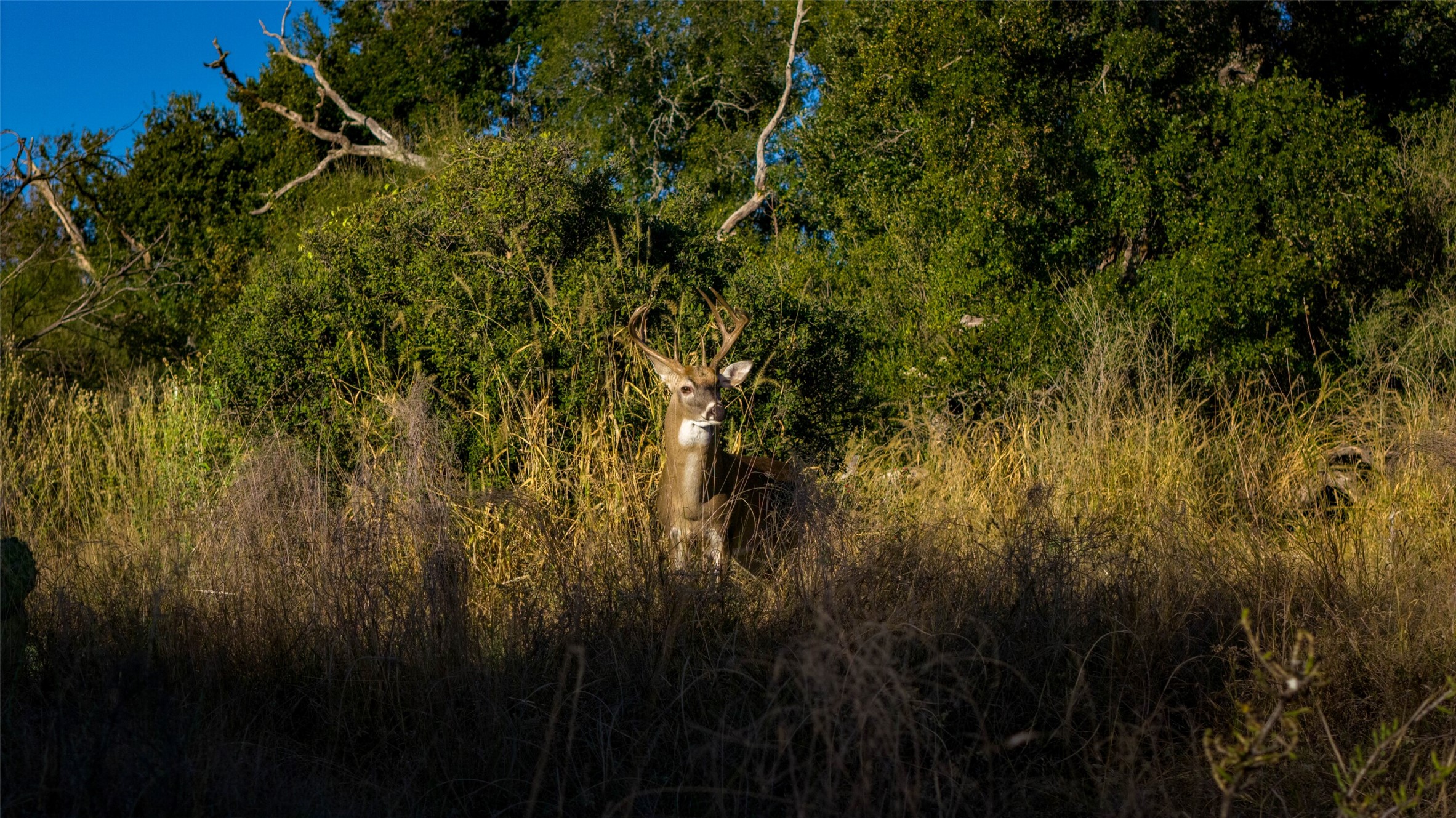 main property photo 23
