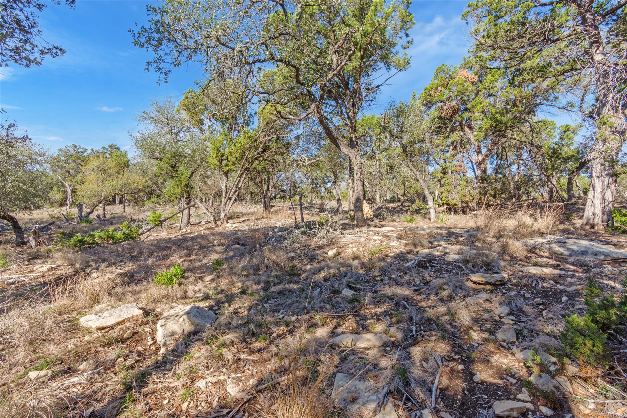 main property photo 13