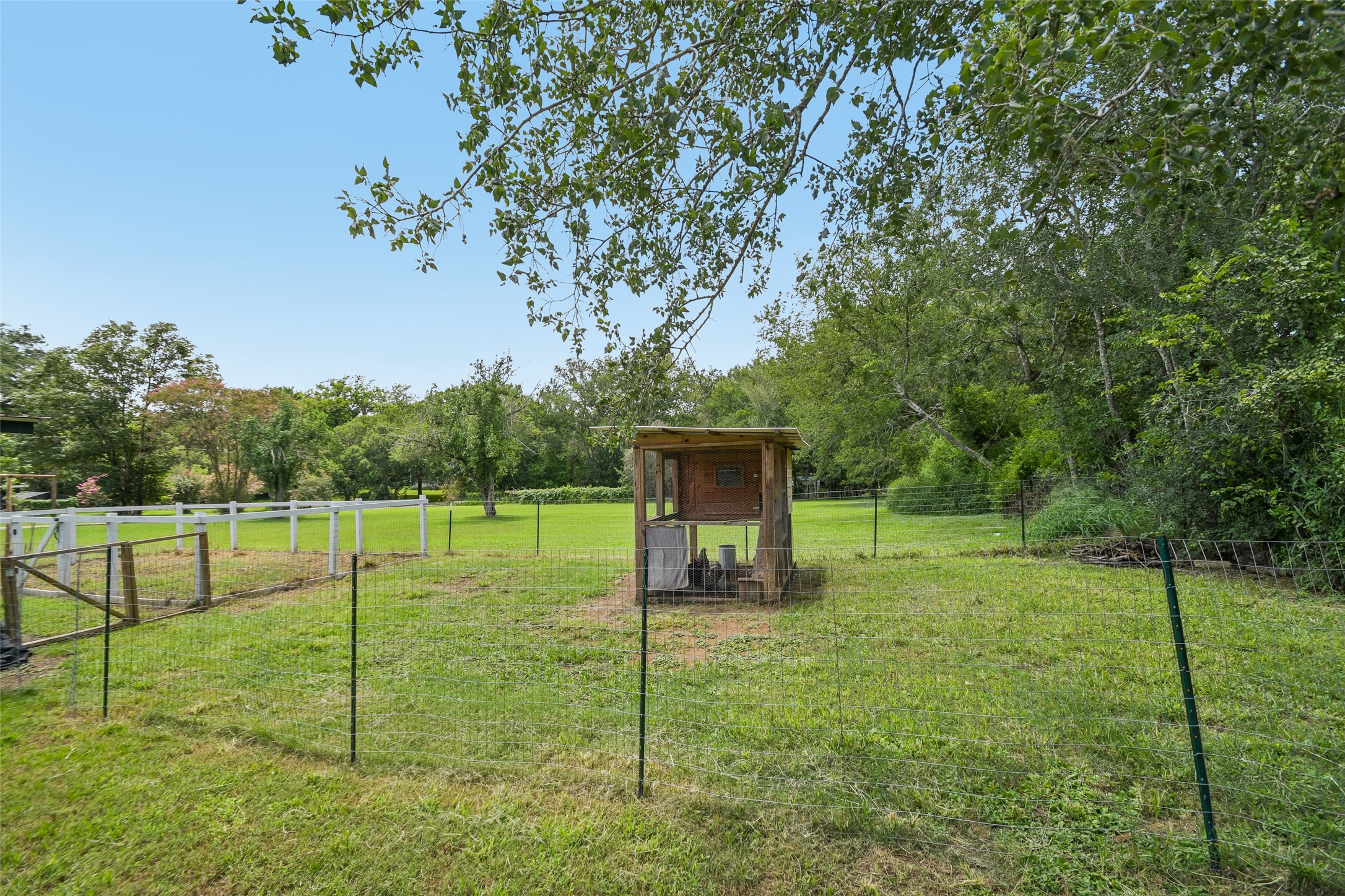 main property photo 32