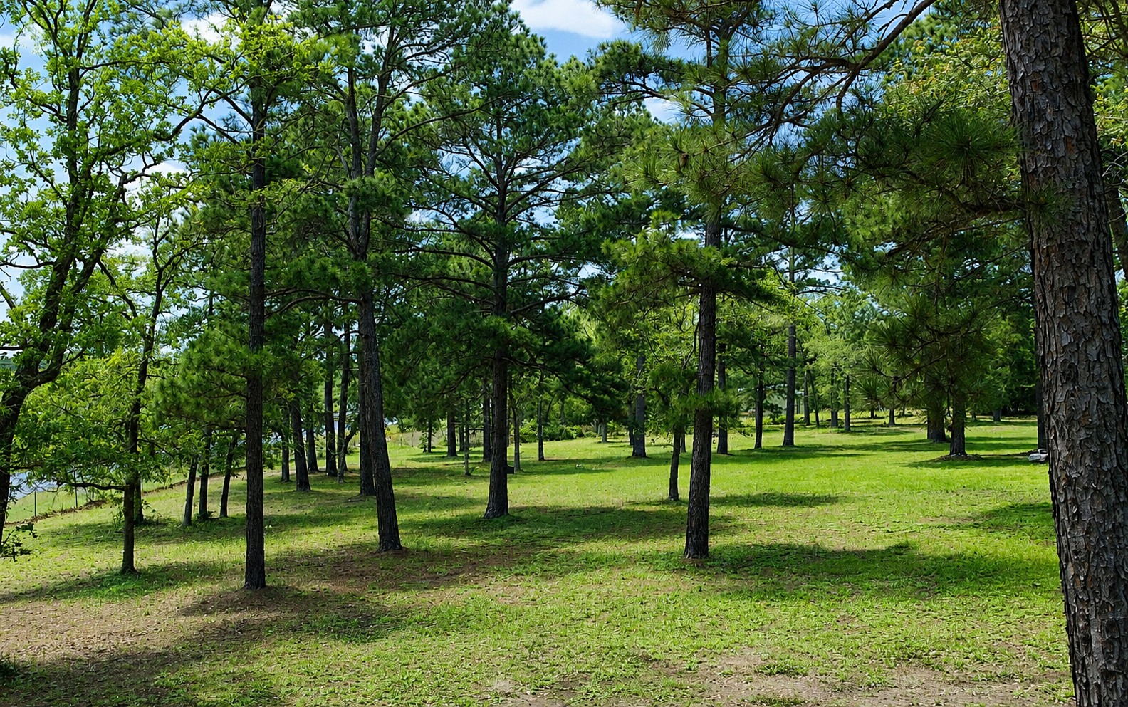 main property photo 24