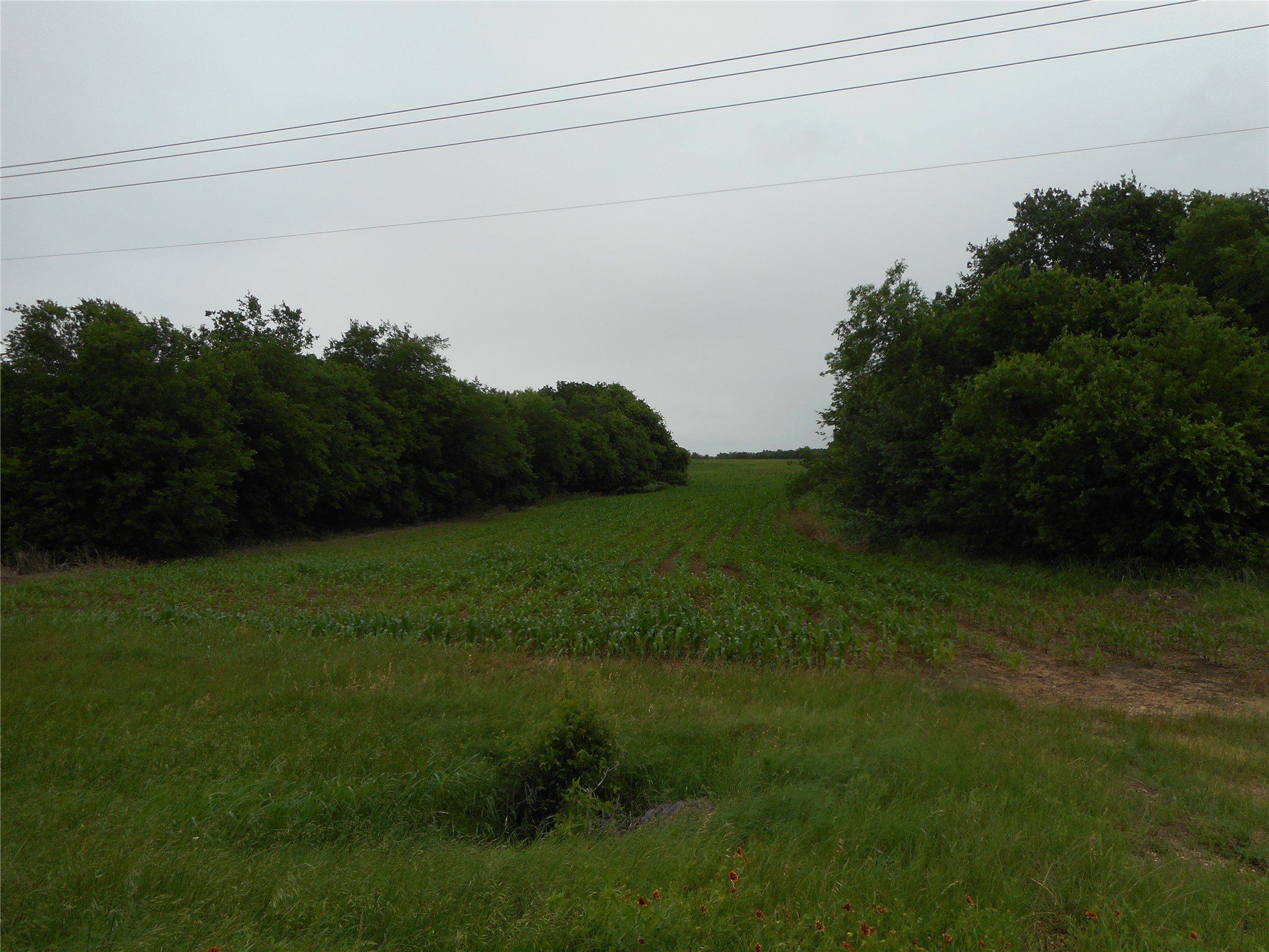 main property photo 12