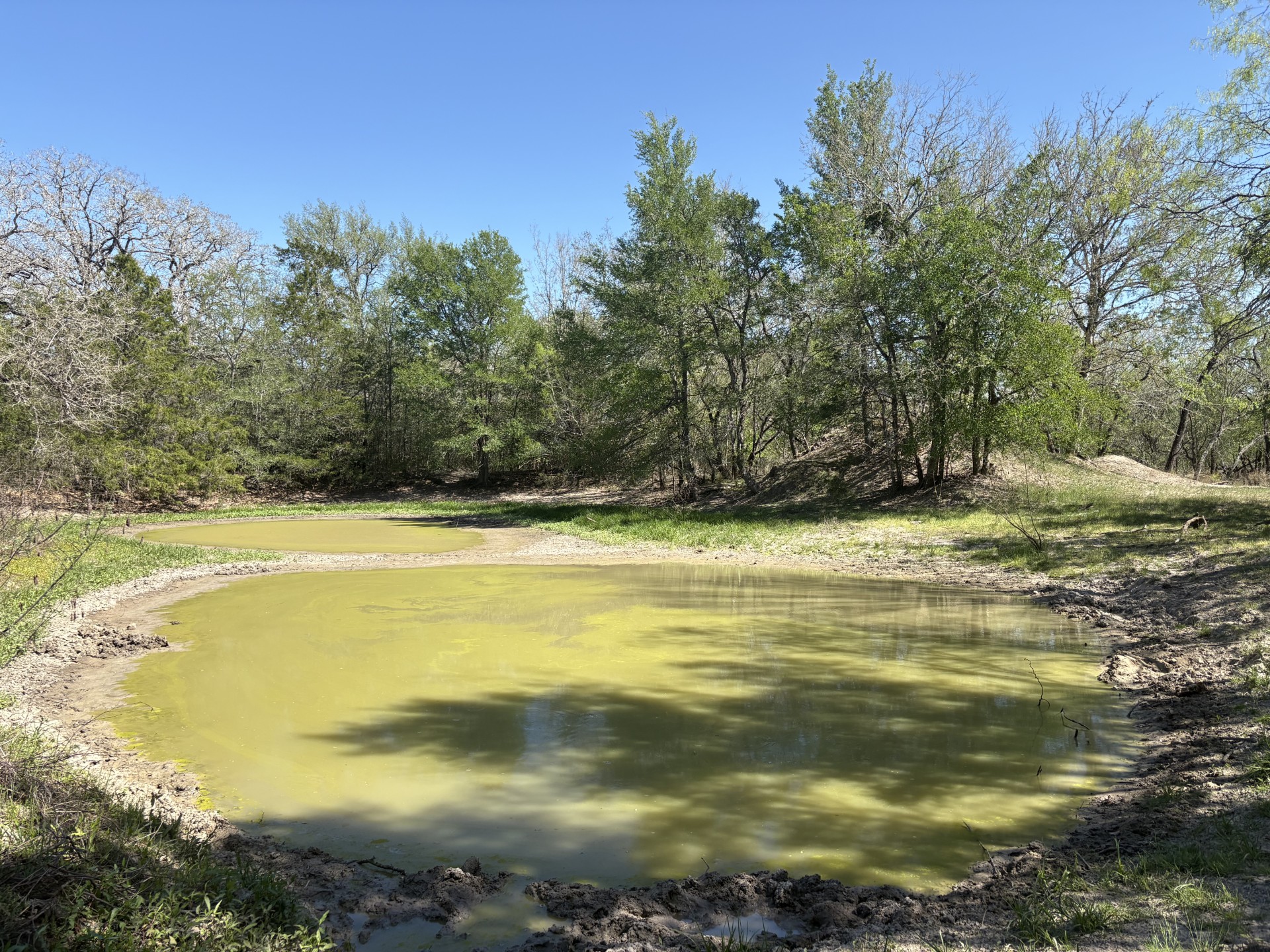 main property photo 10