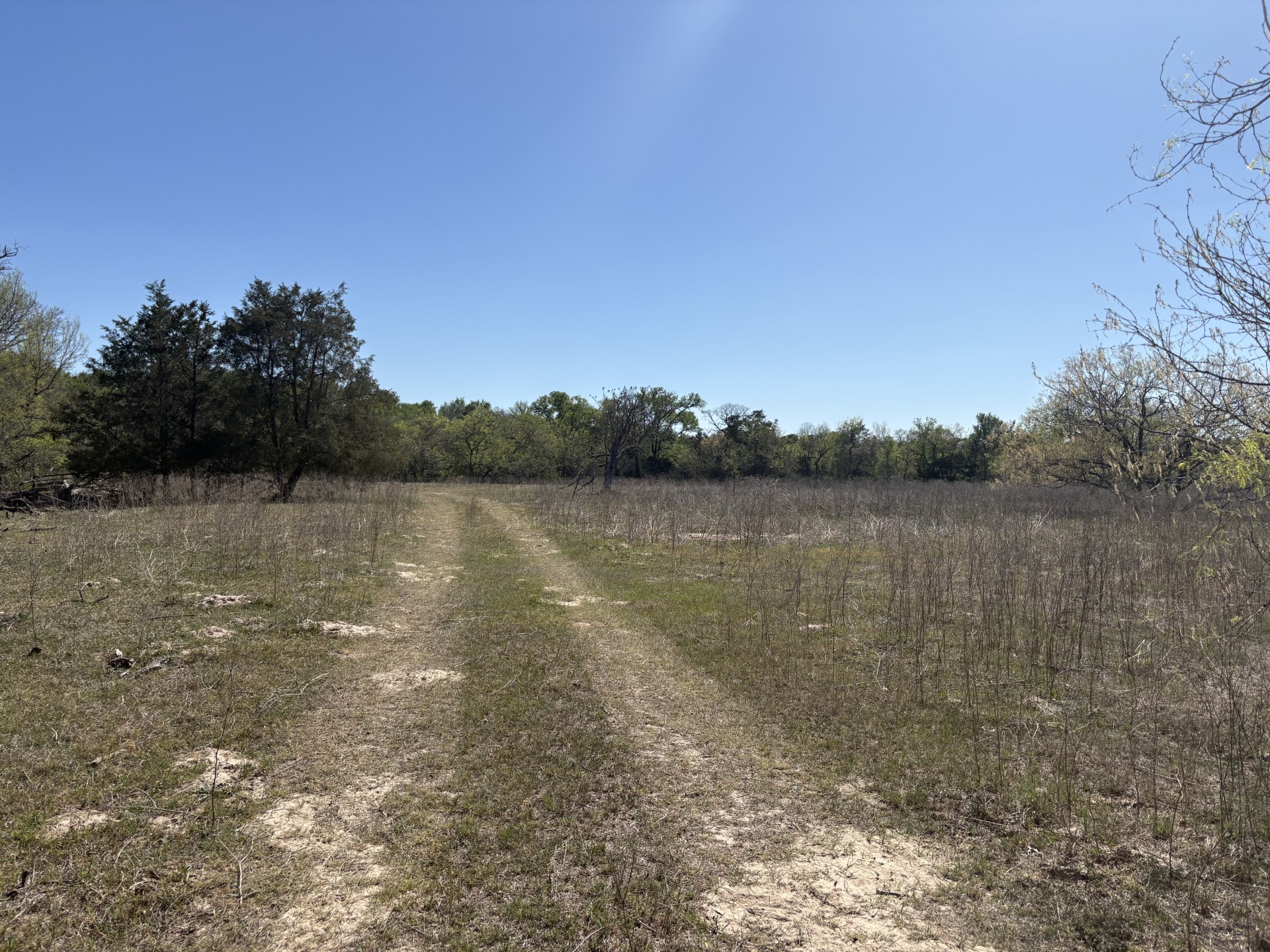 main property photo 18