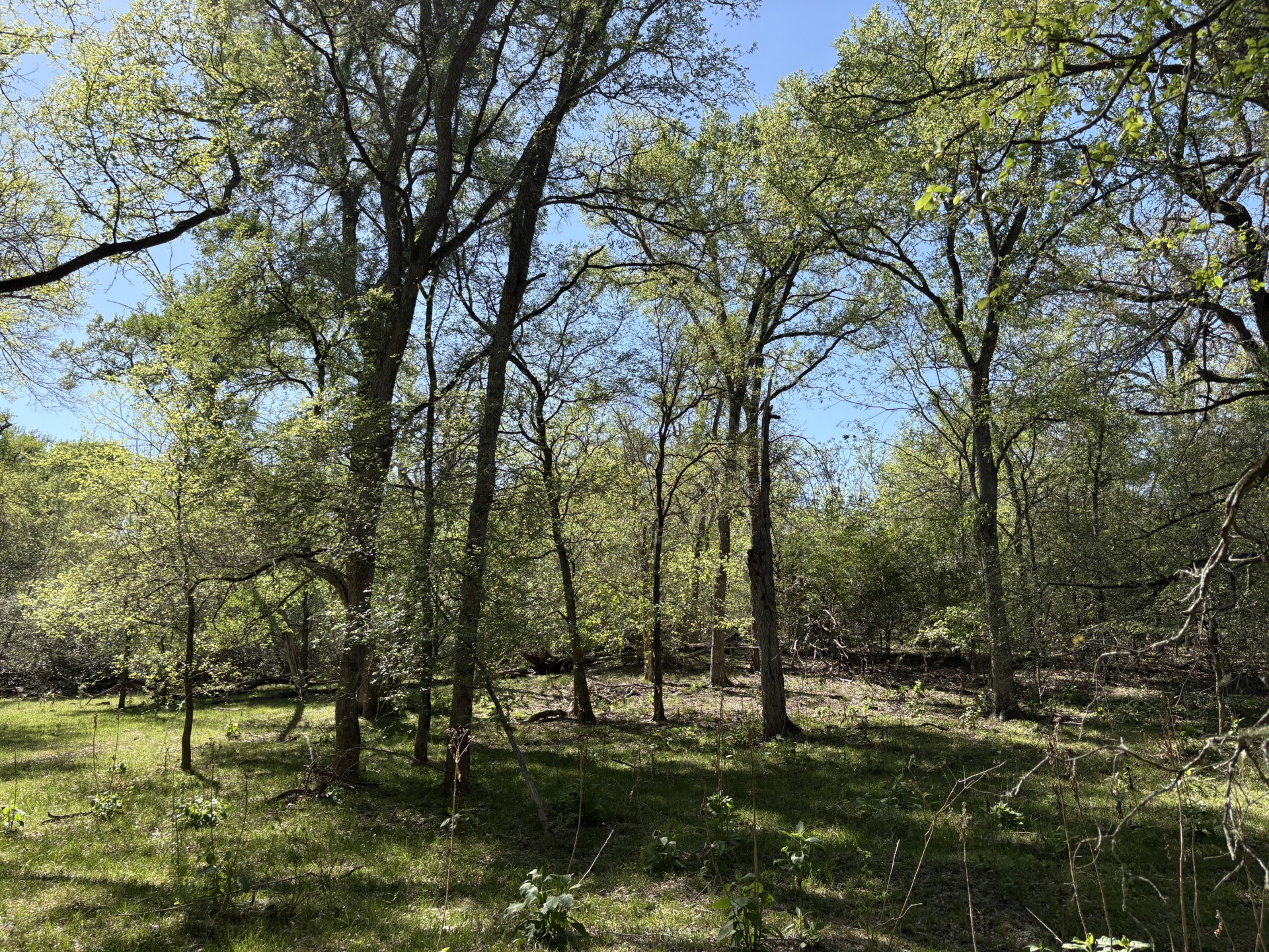 main property photo 19