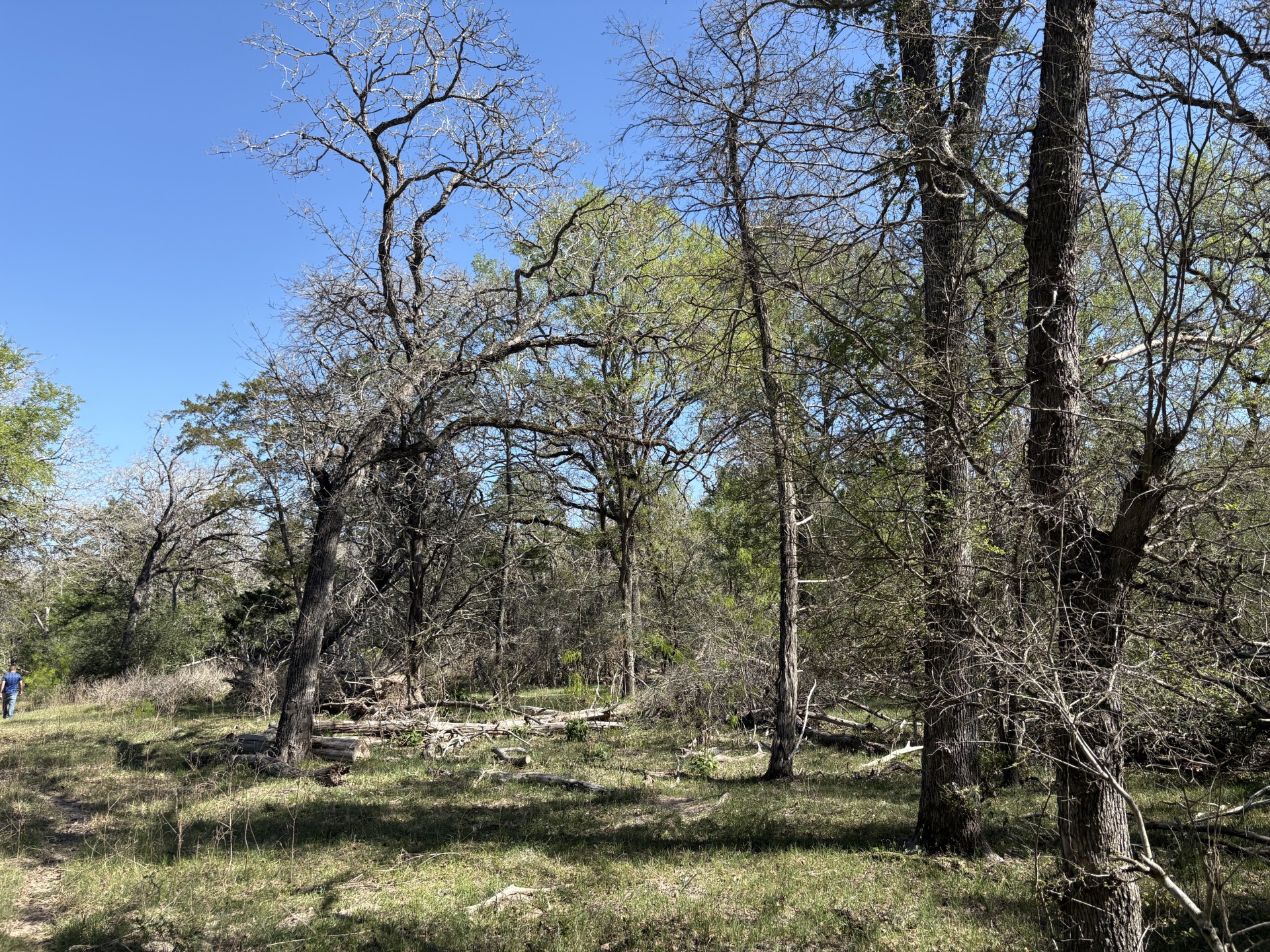 main property photo 21