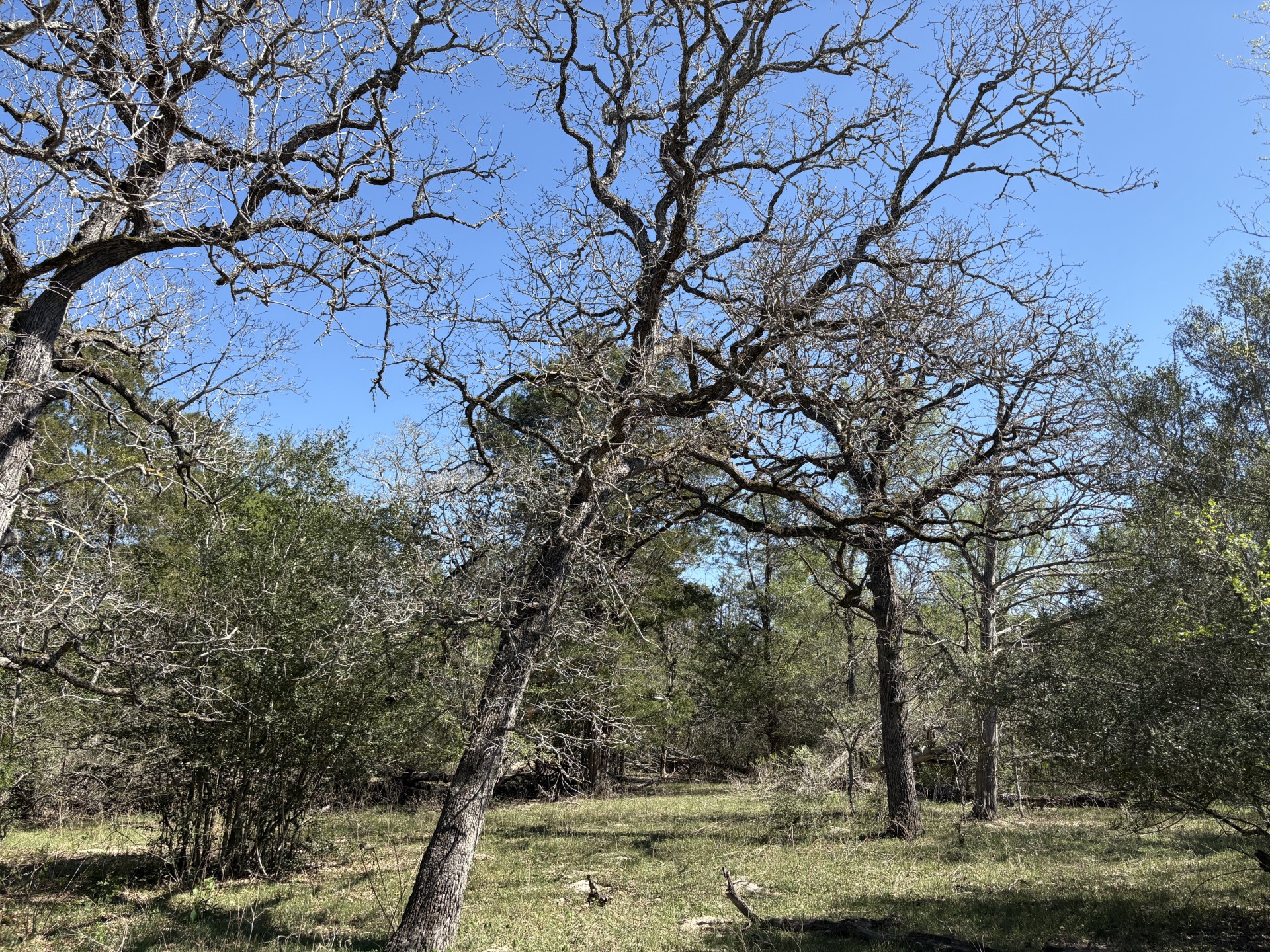 main property photo 26