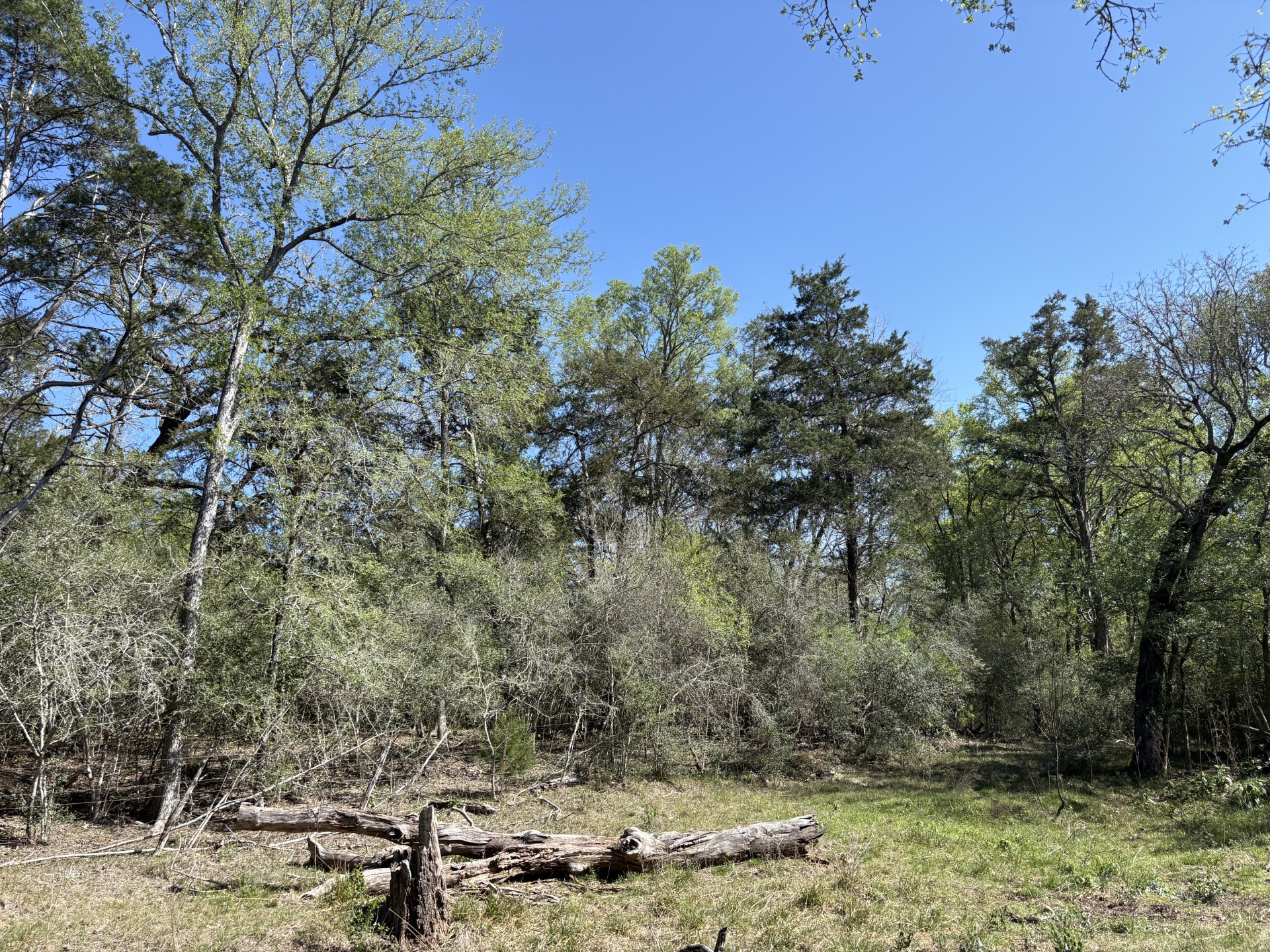 main property photo 34