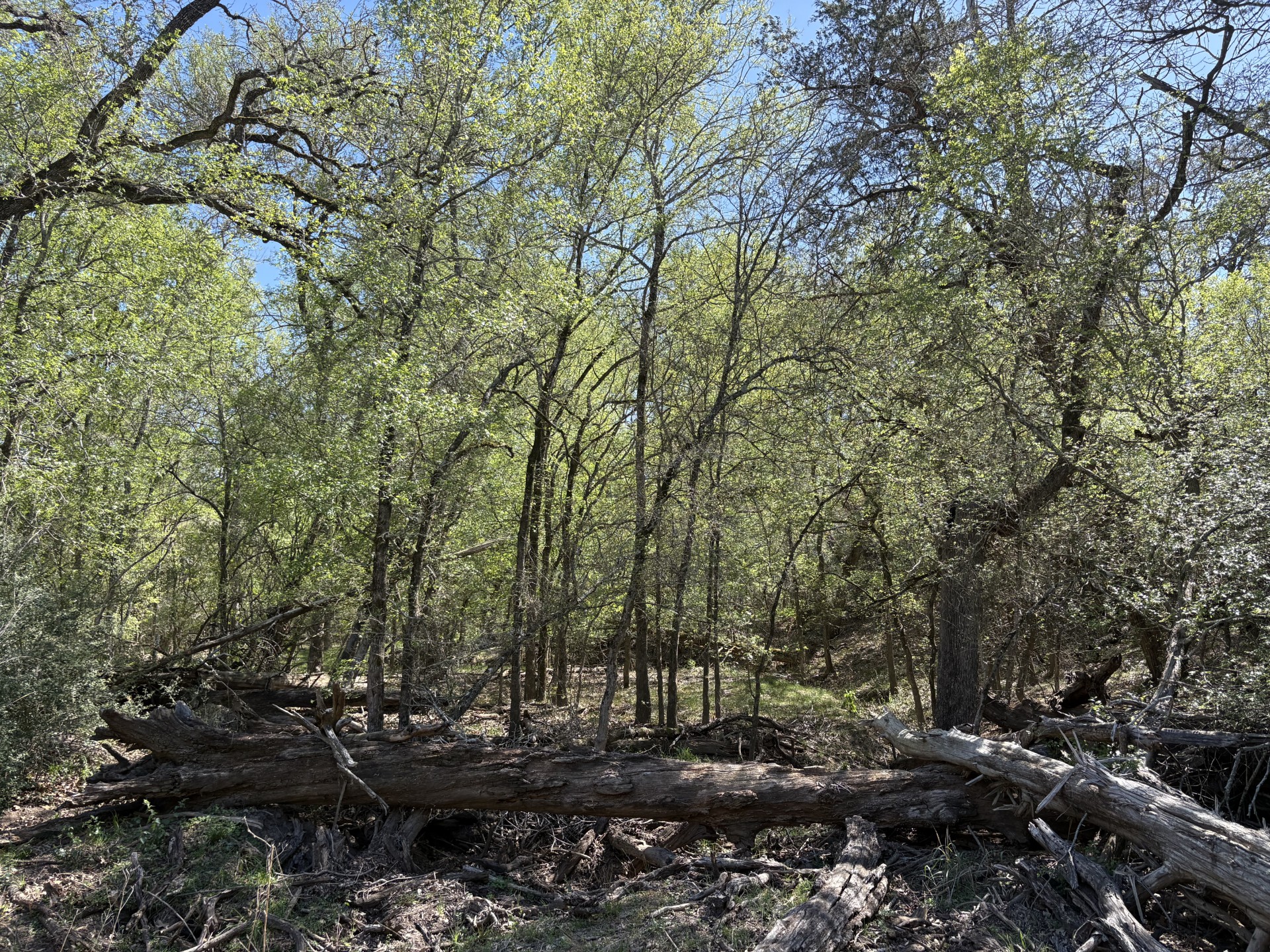 main property photo 9