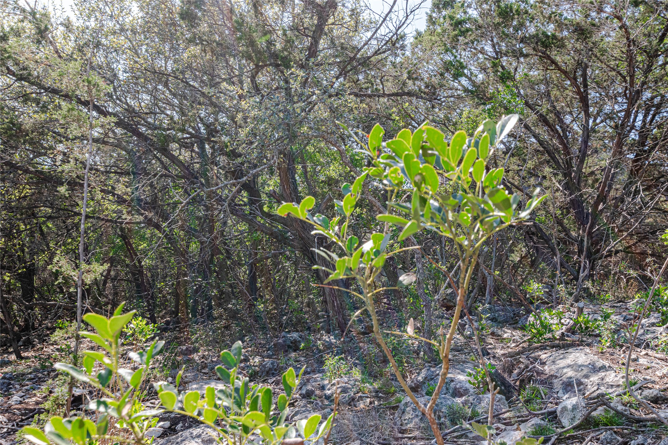 main property photo 11
