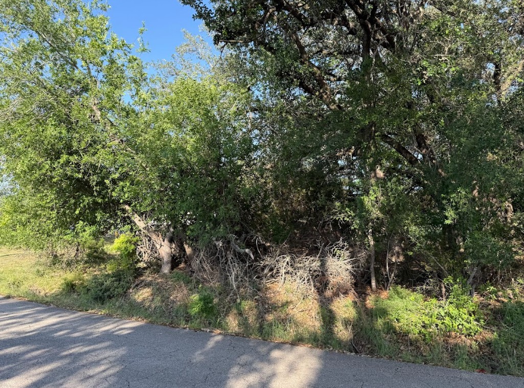 main property photo 21