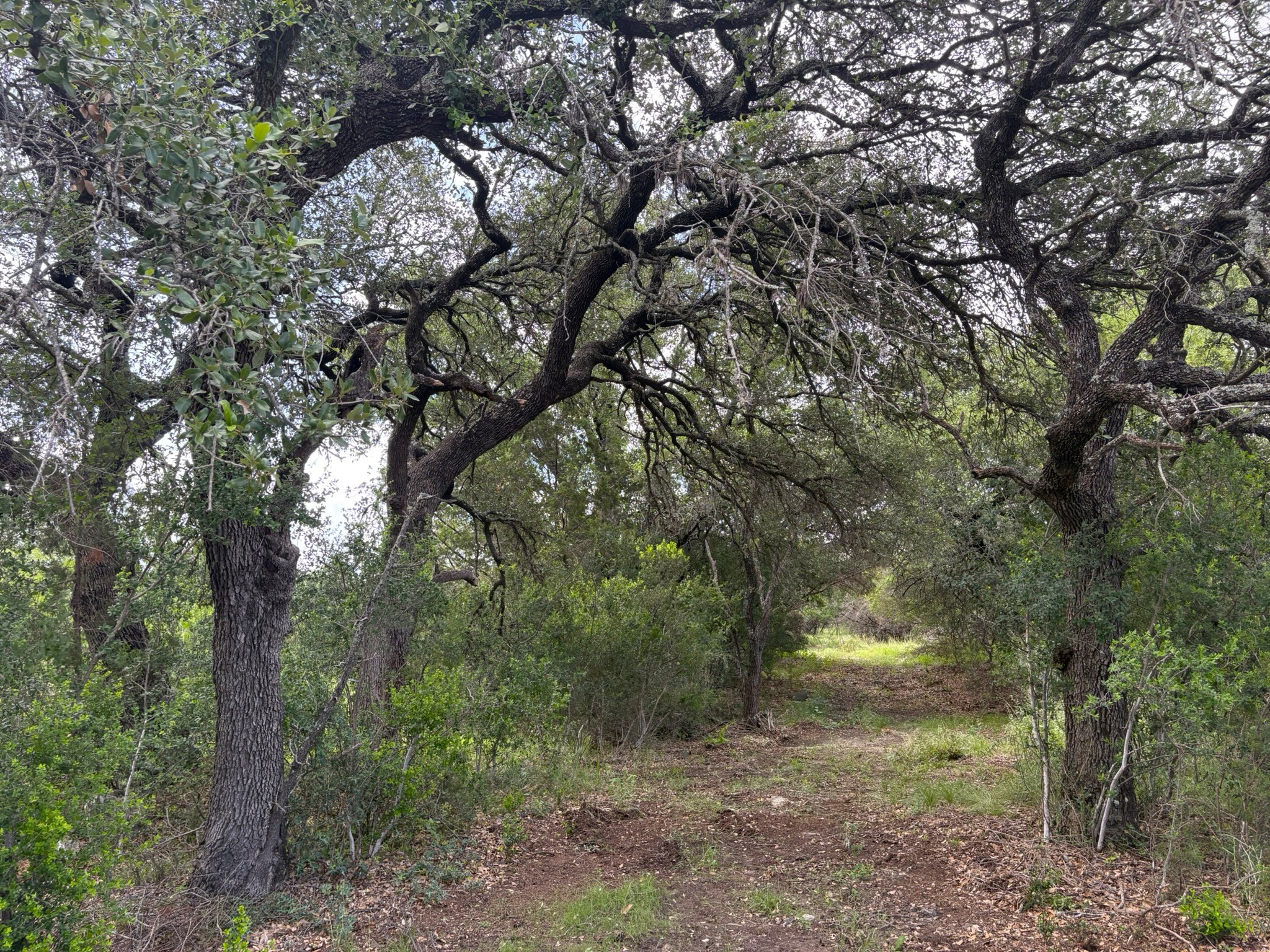 main property photo 11