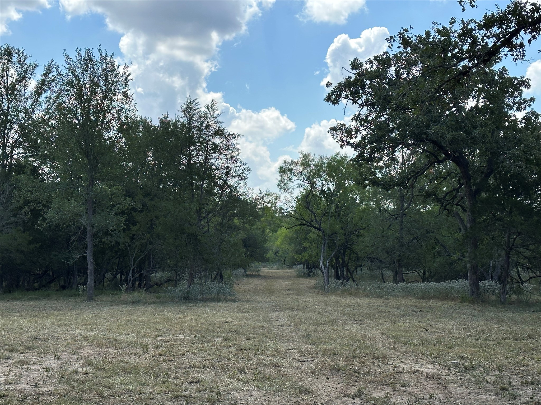 main property photo 11