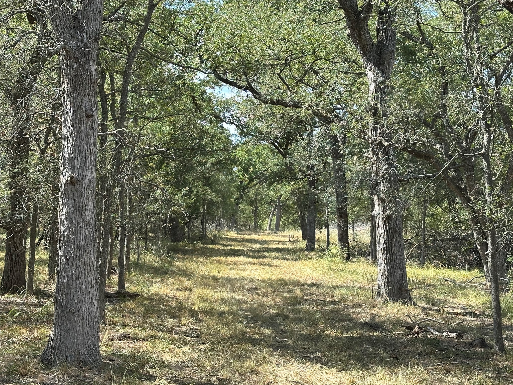 main property photo 12