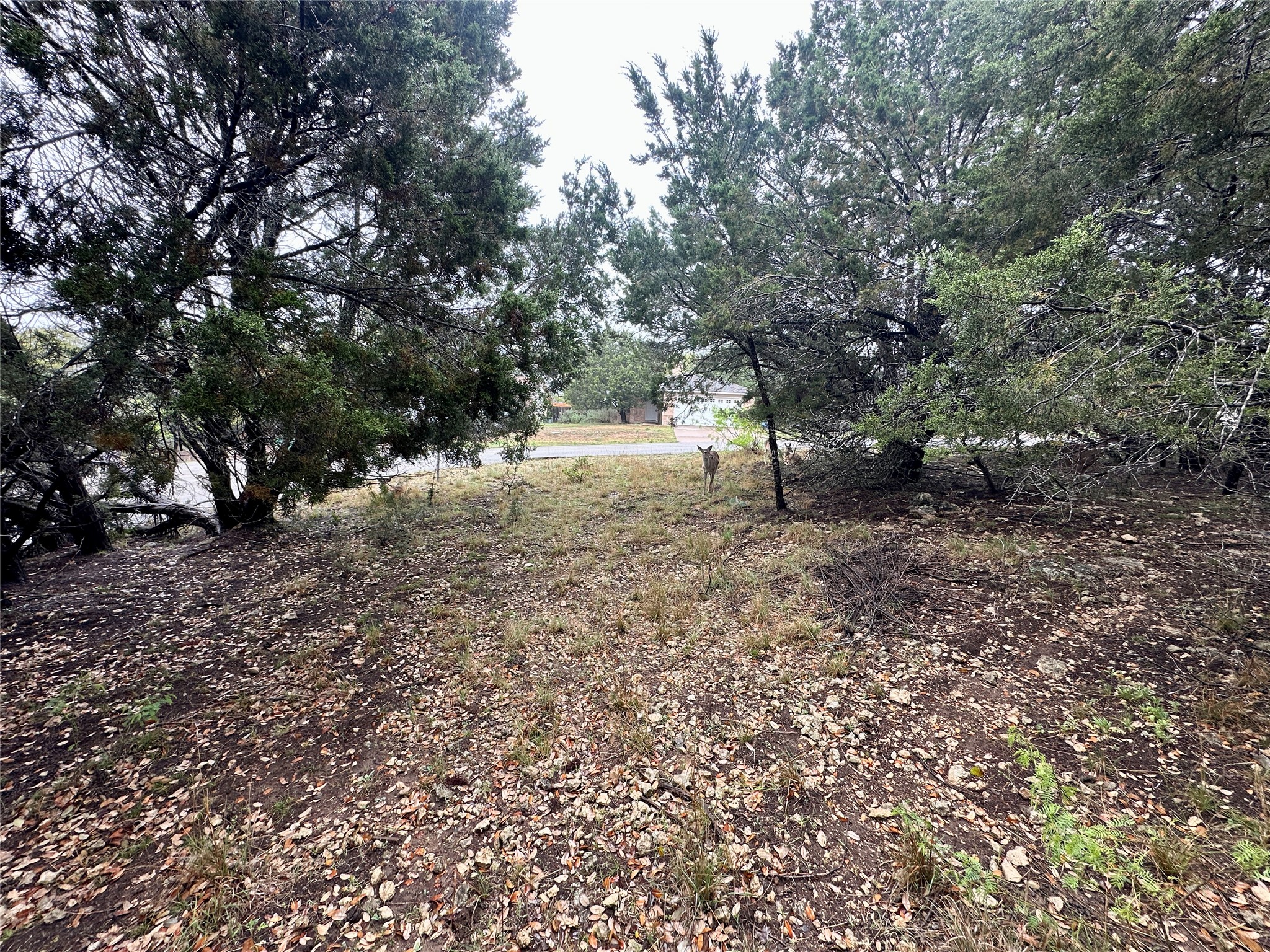 main property photo 13