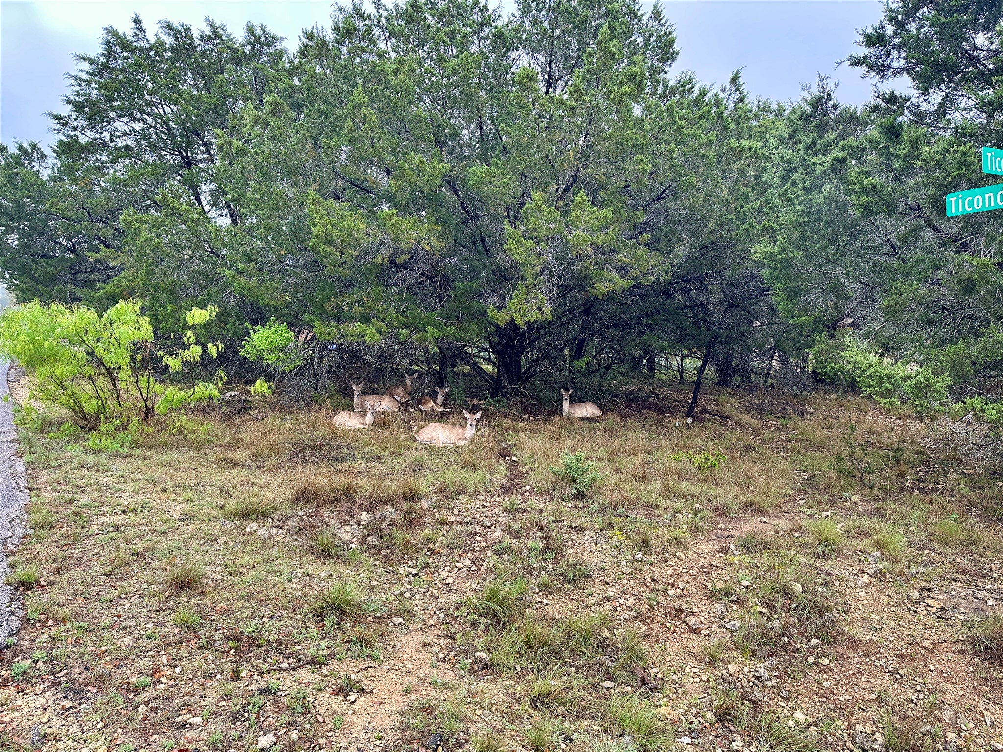 main property photo 8