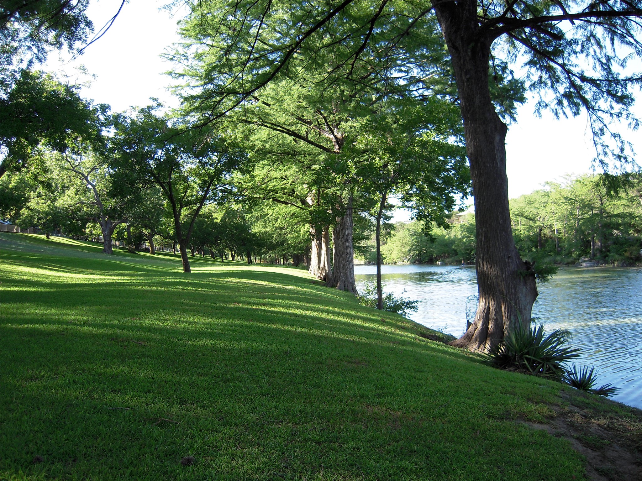 main property photo 32