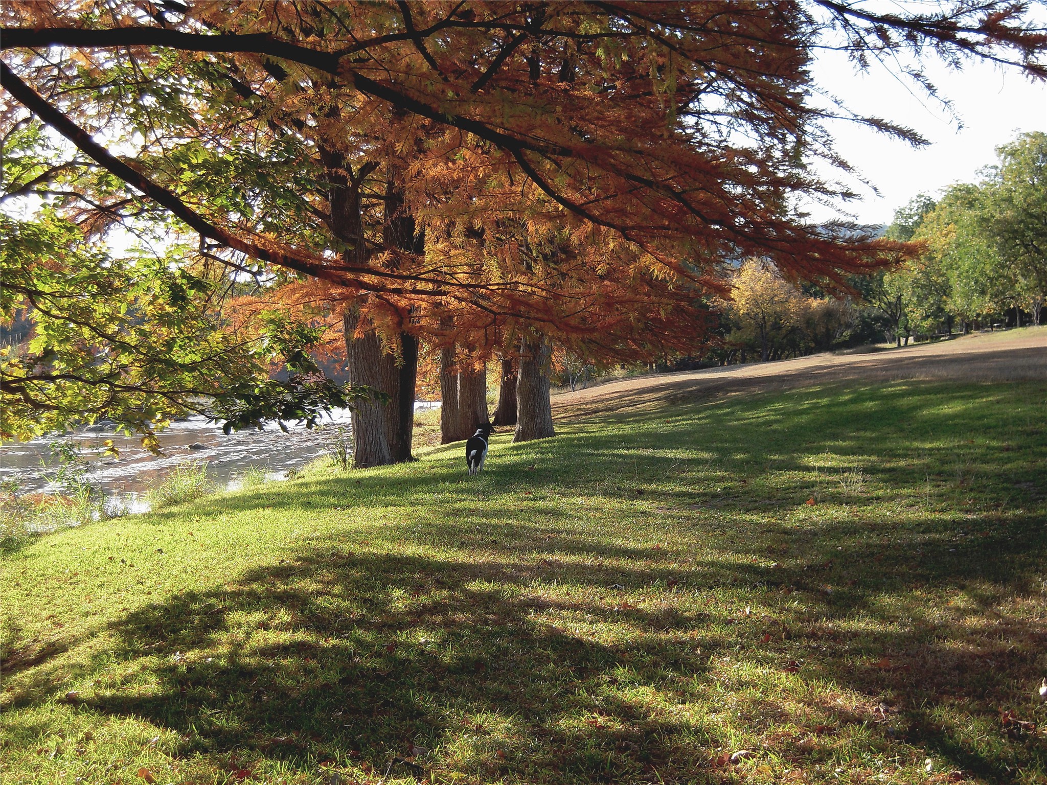main property photo 33