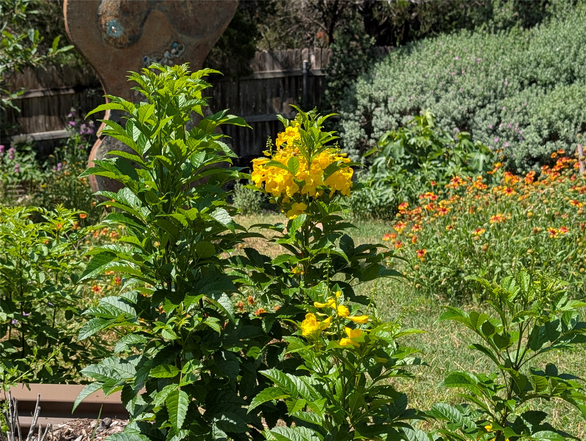 main property photo 14