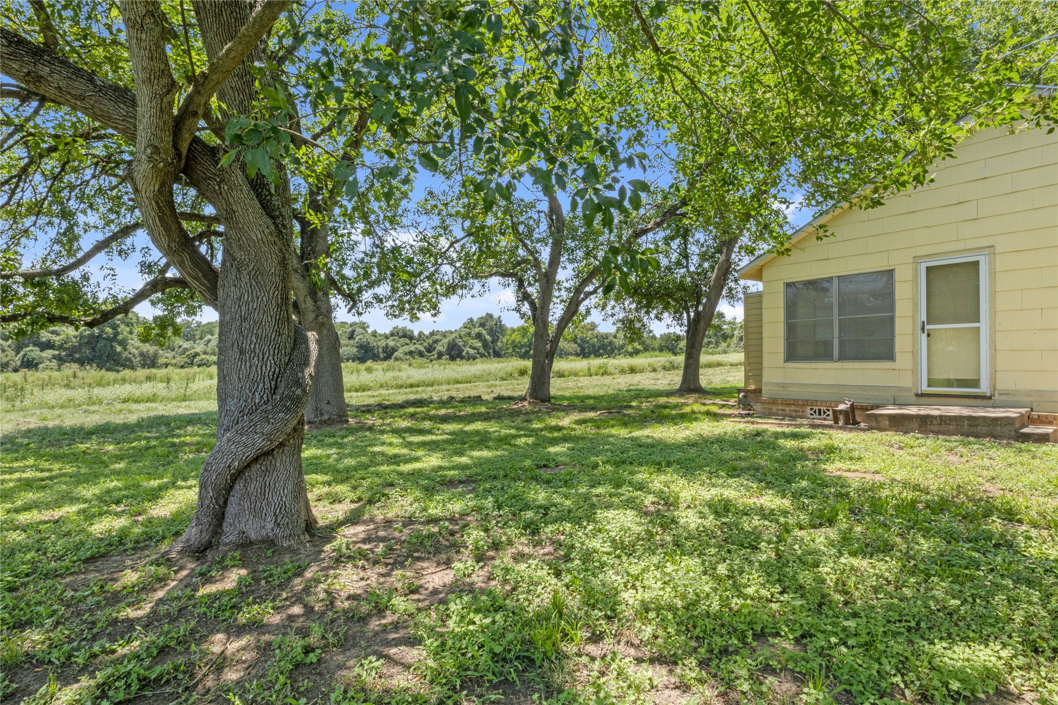 main property photo 25