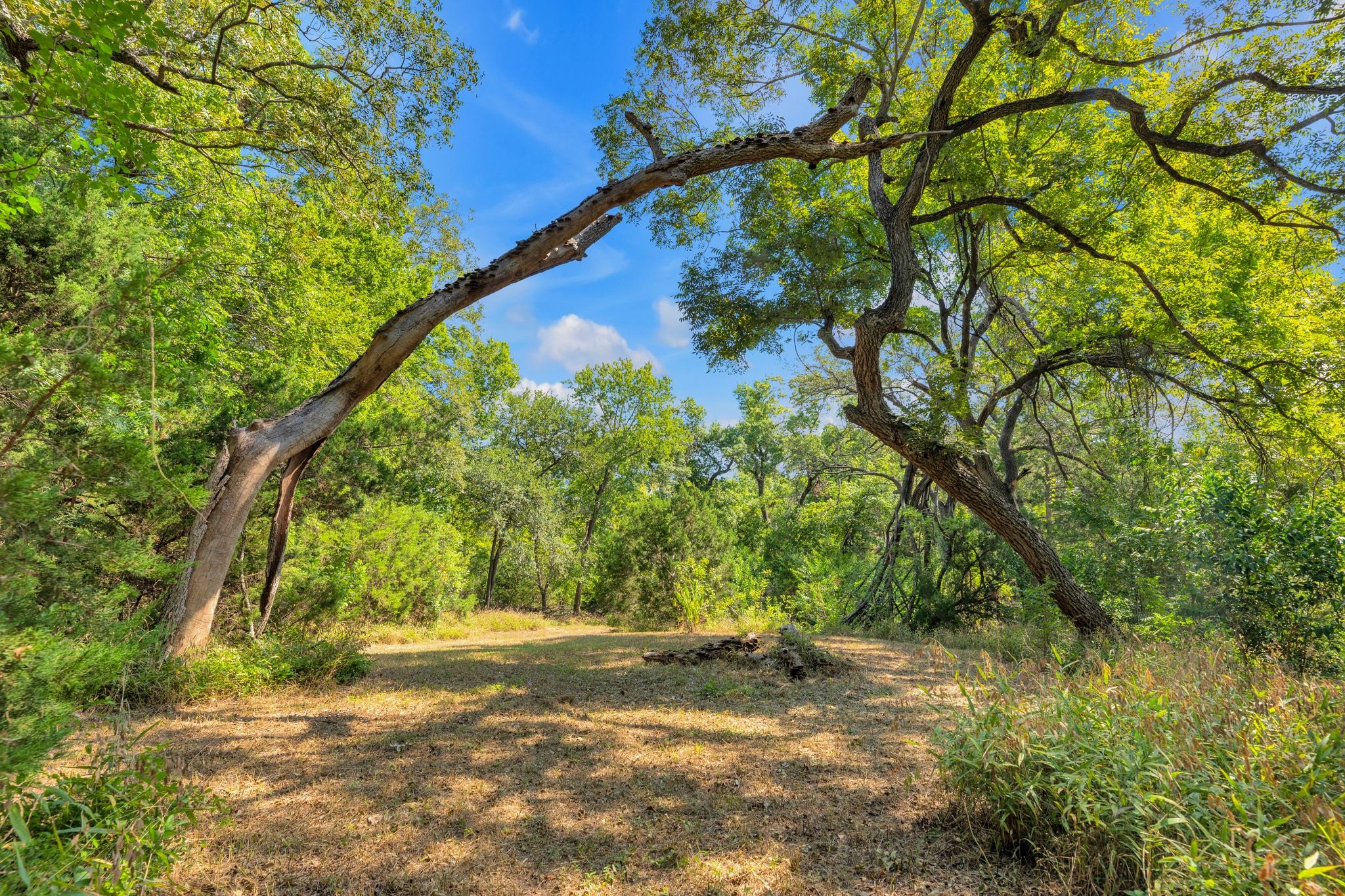 main property photo 31